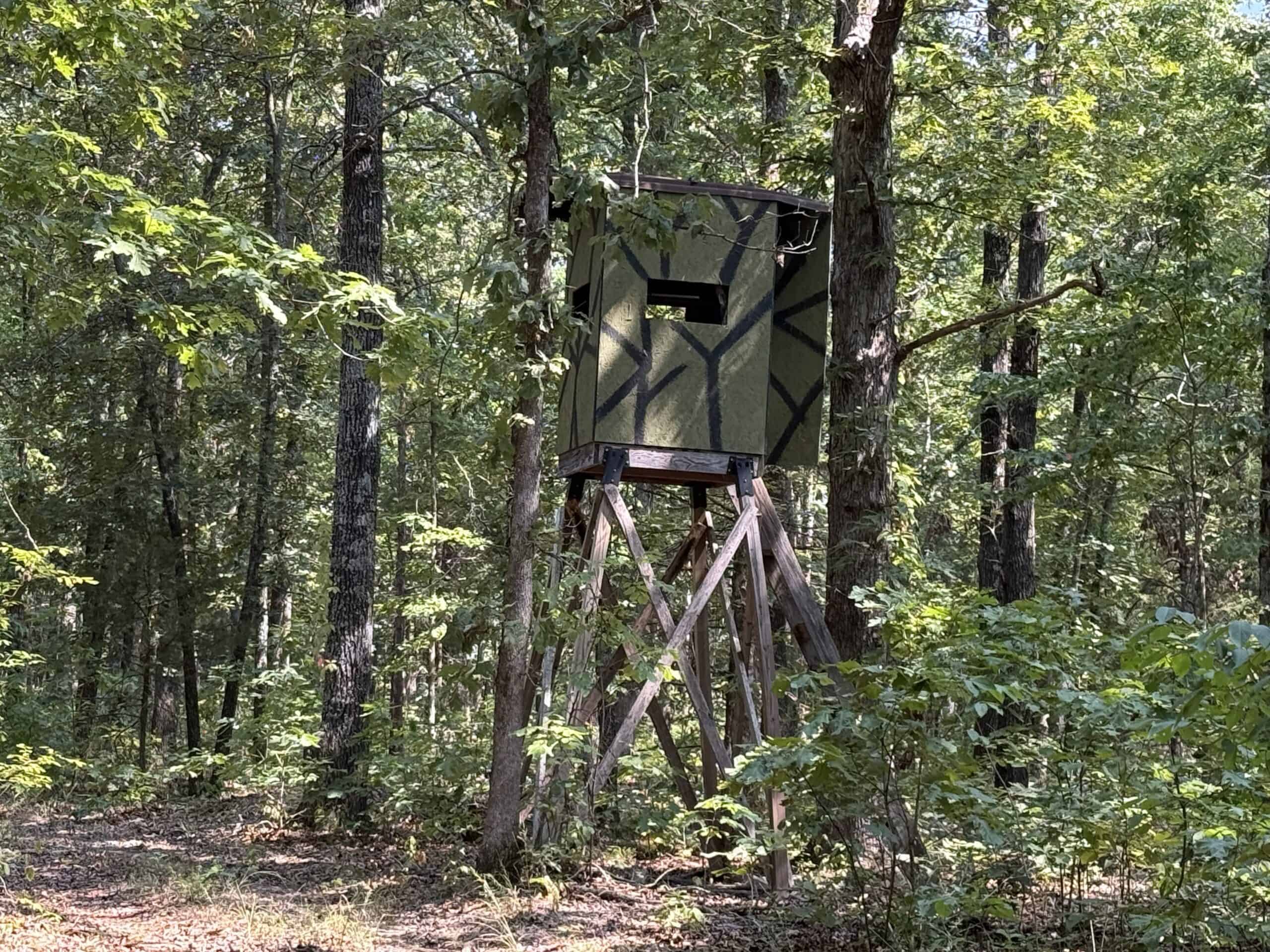 202 Acres of Prime Ozark Hunting Property