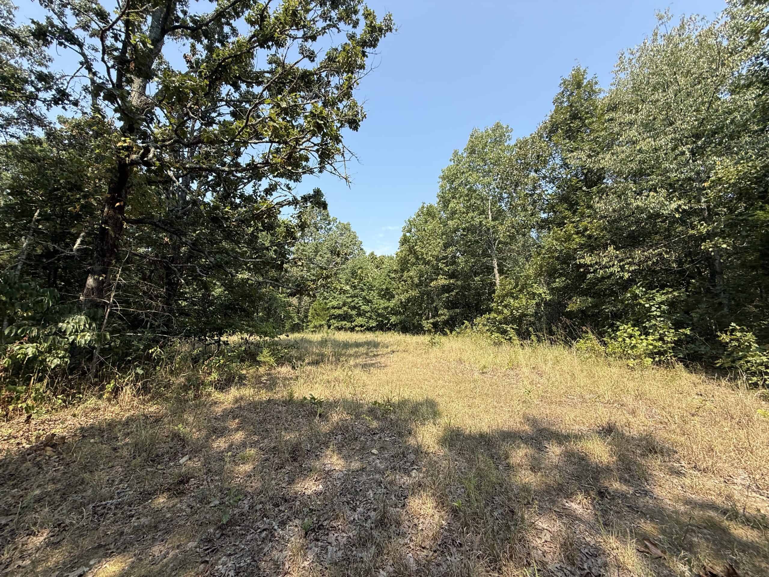 202 Acres of Prime Ozark Hunting Property