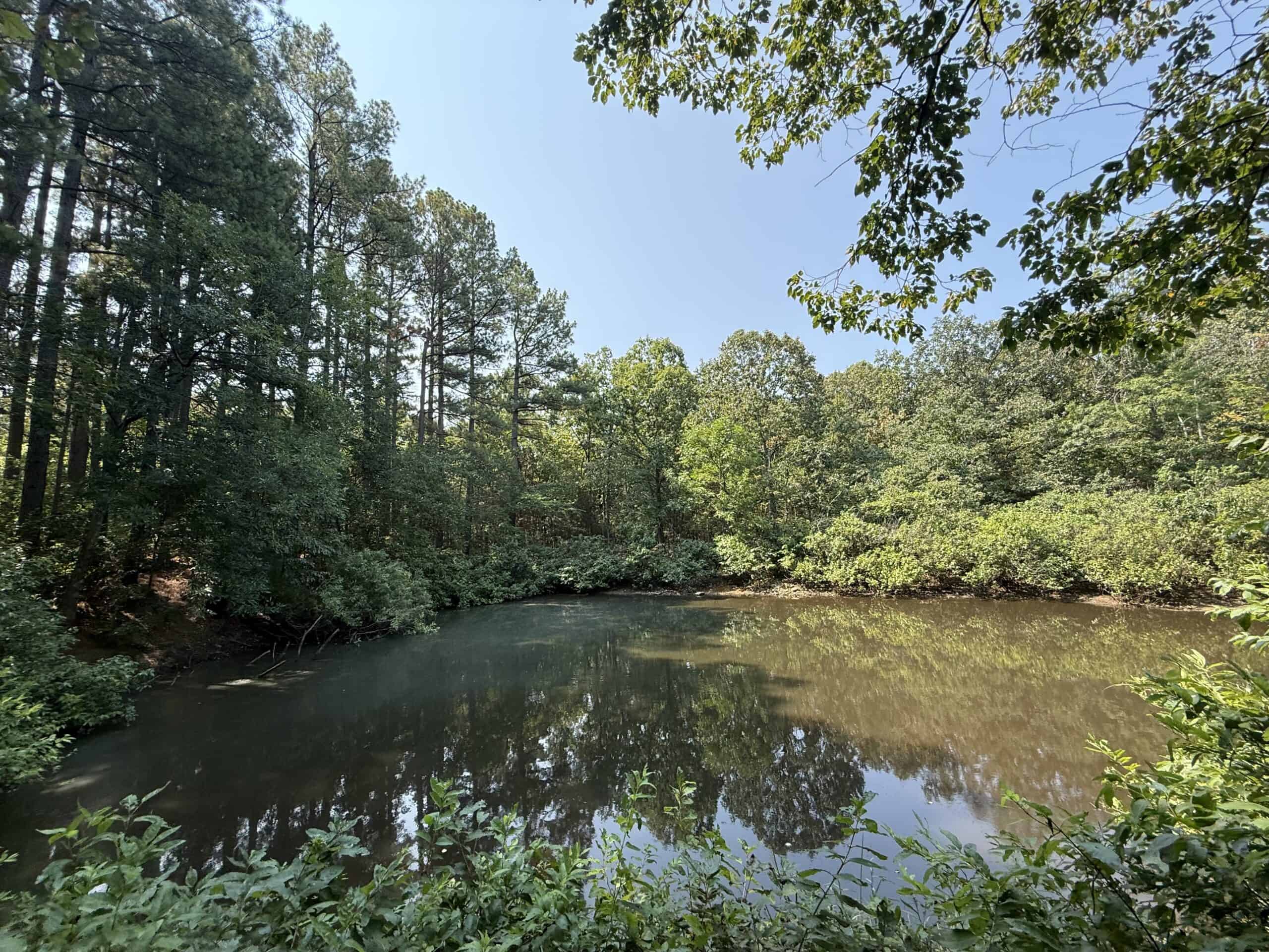 202 Acres of Prime Ozark Hunting Property