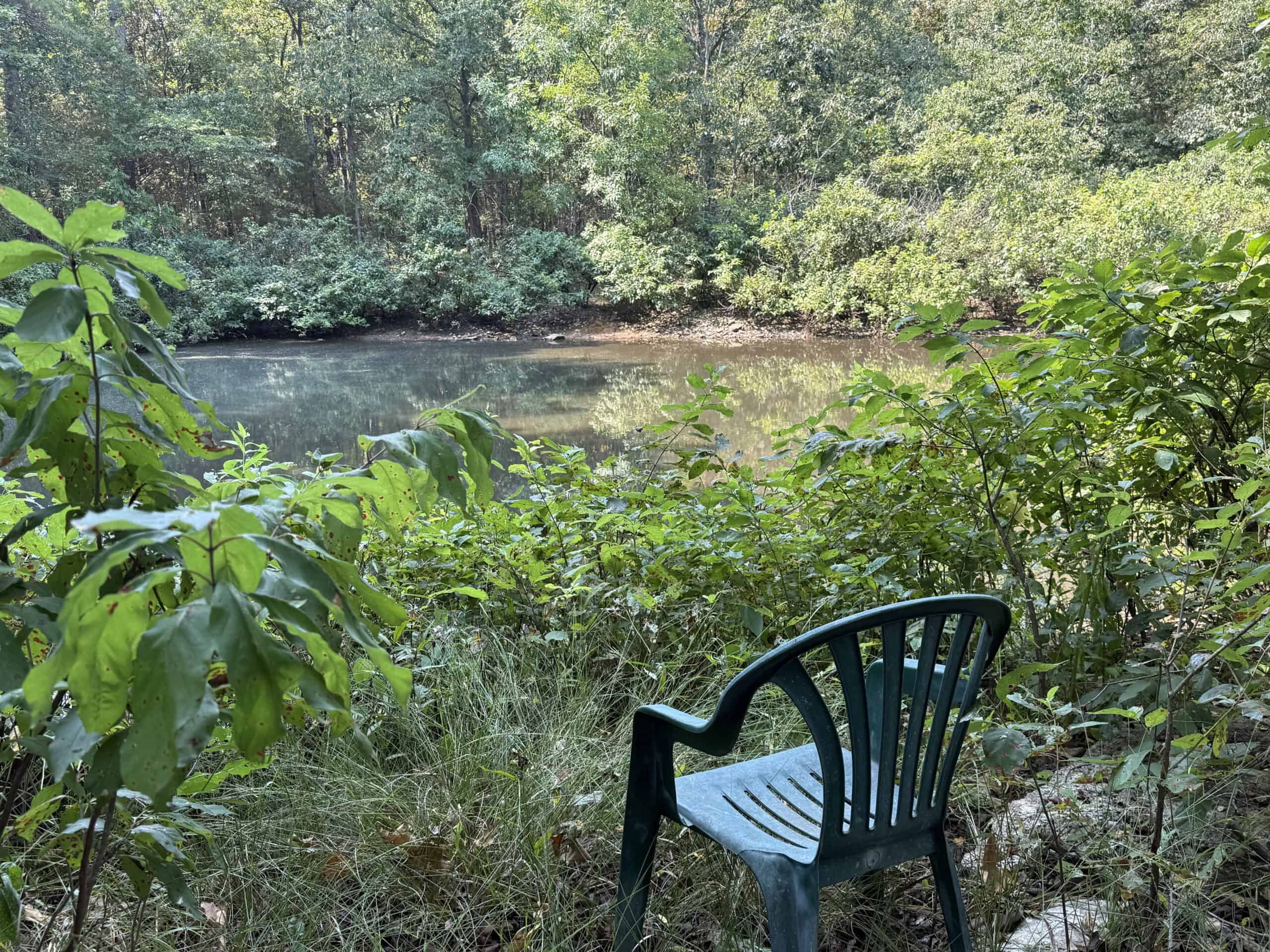 202 Acres of Prime Ozark Hunting Property