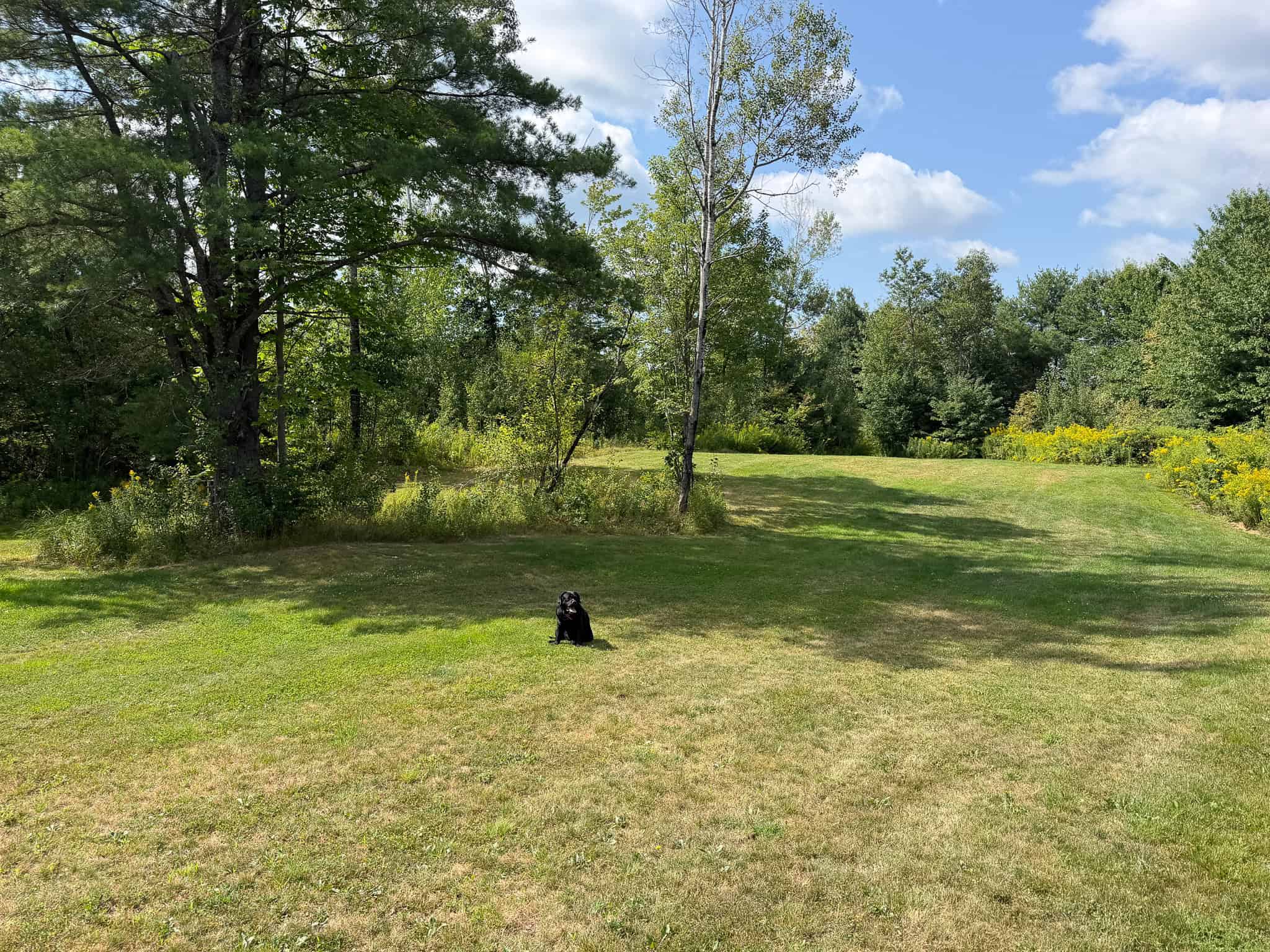 27.4 Surveyed Acres with Brook Frontage – Monroe, Maine