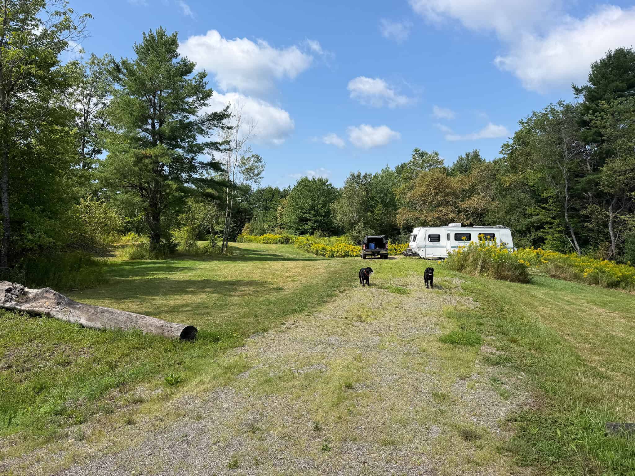27.4 Surveyed Acres with Brook Frontage – Monroe, Maine