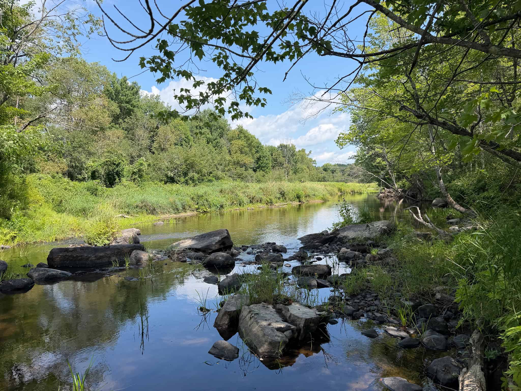 27.4 Surveyed Acres with Brook Frontage – Monroe, Maine