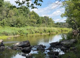 27.4 Surveyed Acres with Brook Frontage – Monroe, Maine