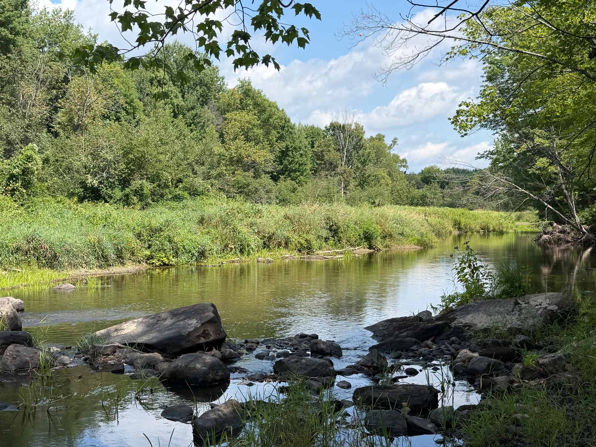 27.4 Surveyed Acres with Brook Frontage – Monroe, Maine