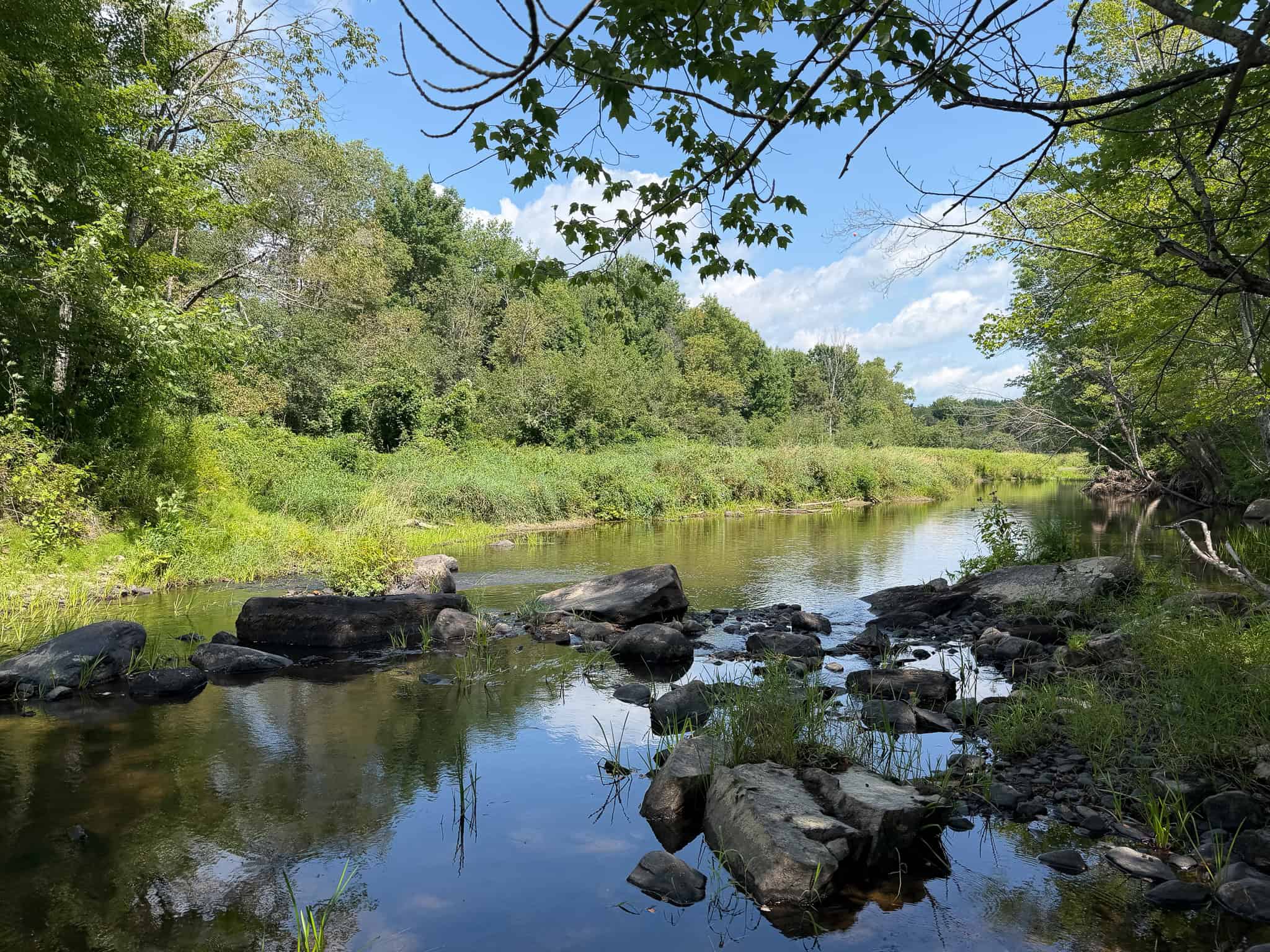 27.4 Surveyed Acres with Brook Frontage – Monroe, Maine