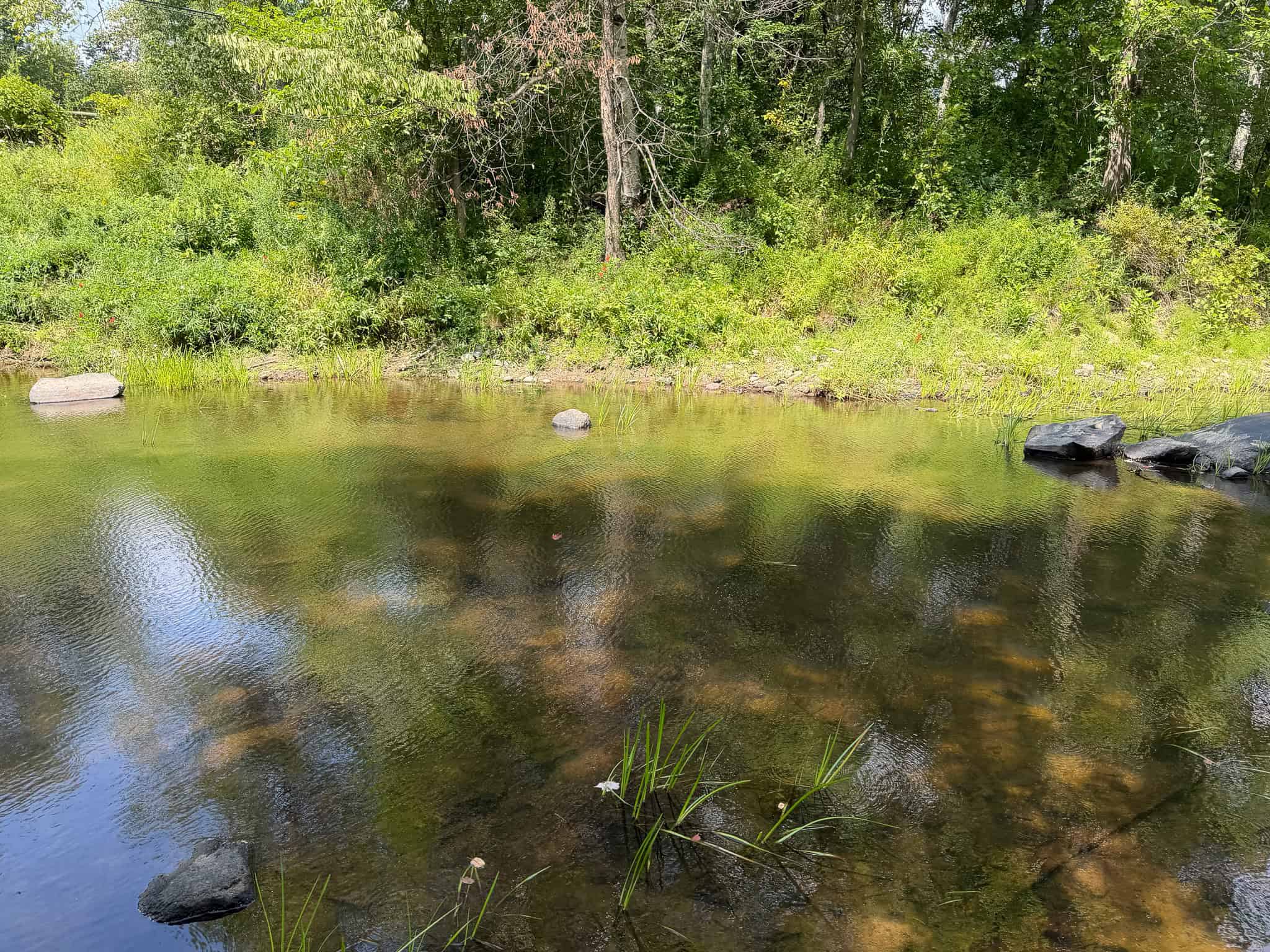 27.4 Surveyed Acres with Brook Frontage – Monroe, Maine