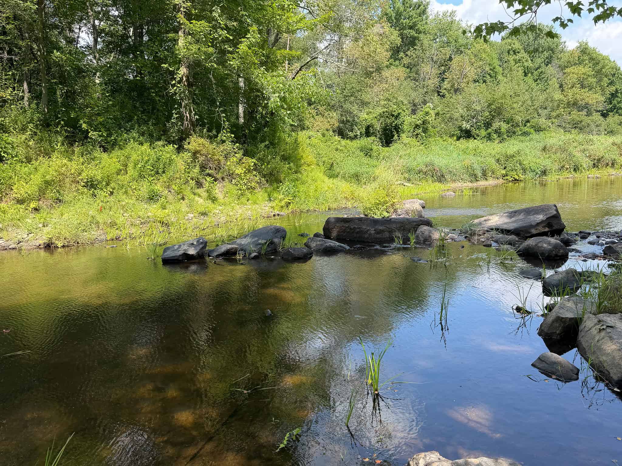 27.4 Surveyed Acres with Brook Frontage – Monroe, Maine