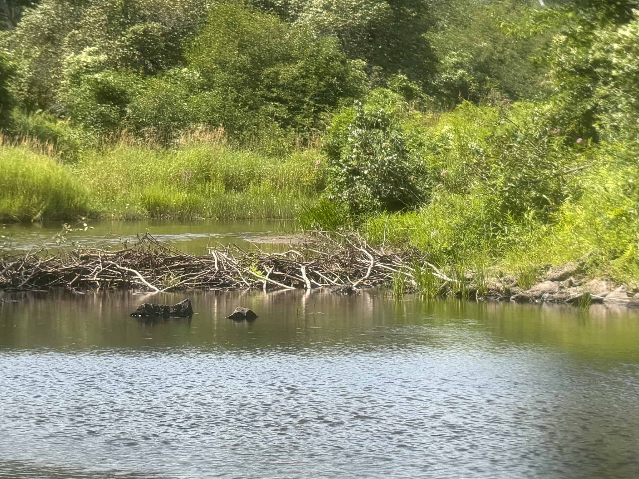27.4 Surveyed Acres with Brook Frontage – Monroe, Maine