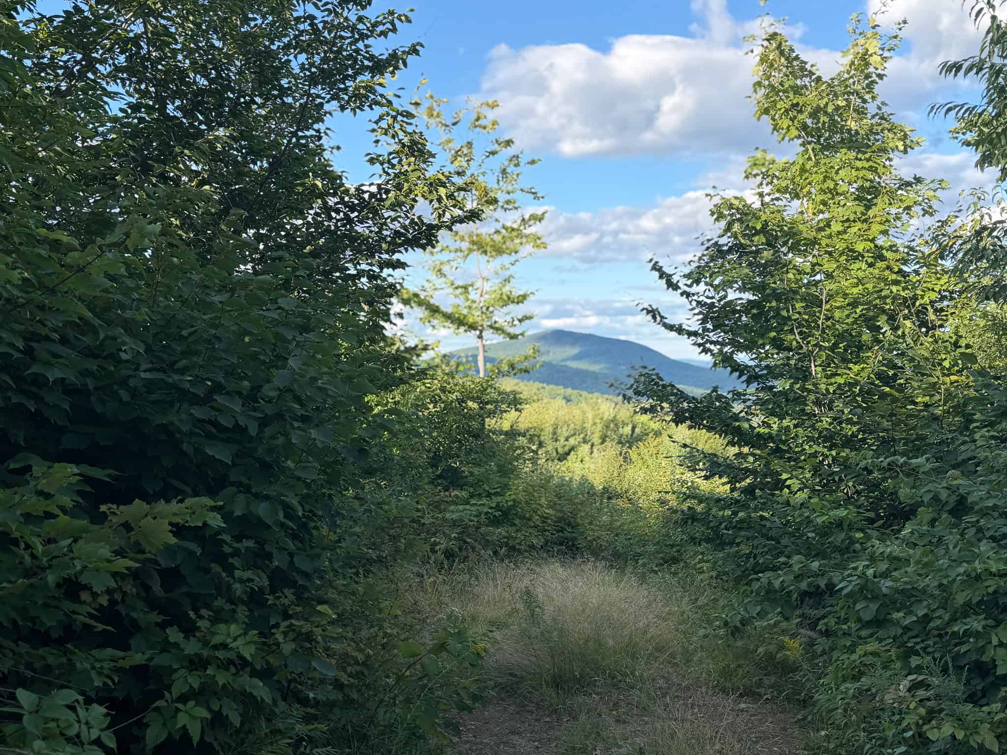 11.48 Acre Parcel with Mountain Views – Temple, Maine