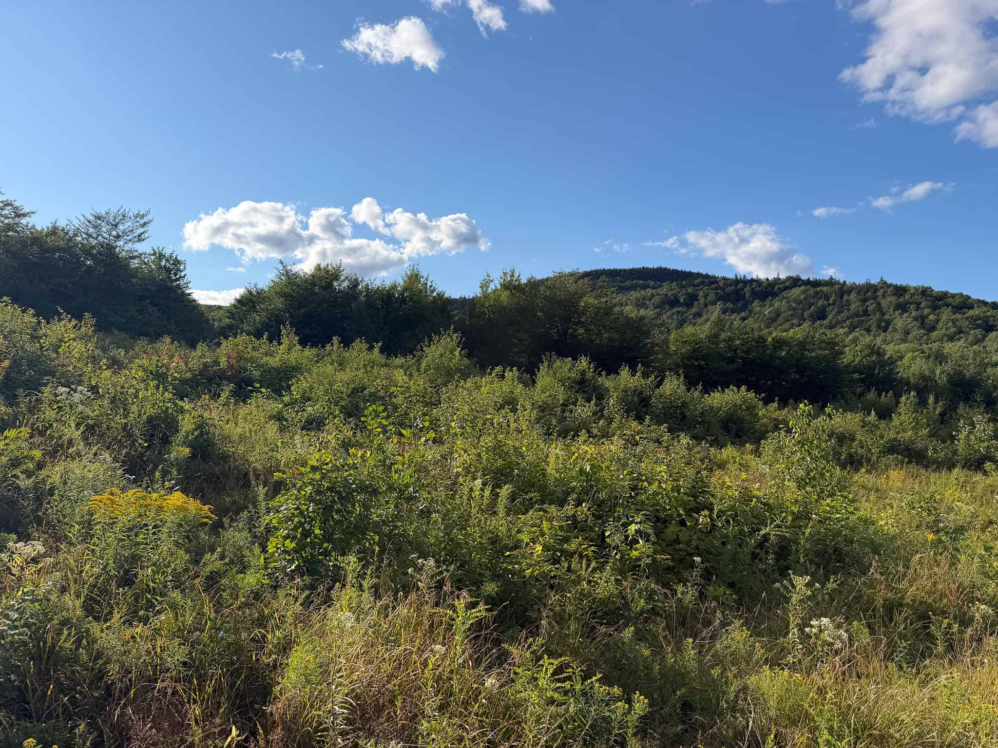 11.48 Acre Parcel with Mountain Views – Temple, Maine