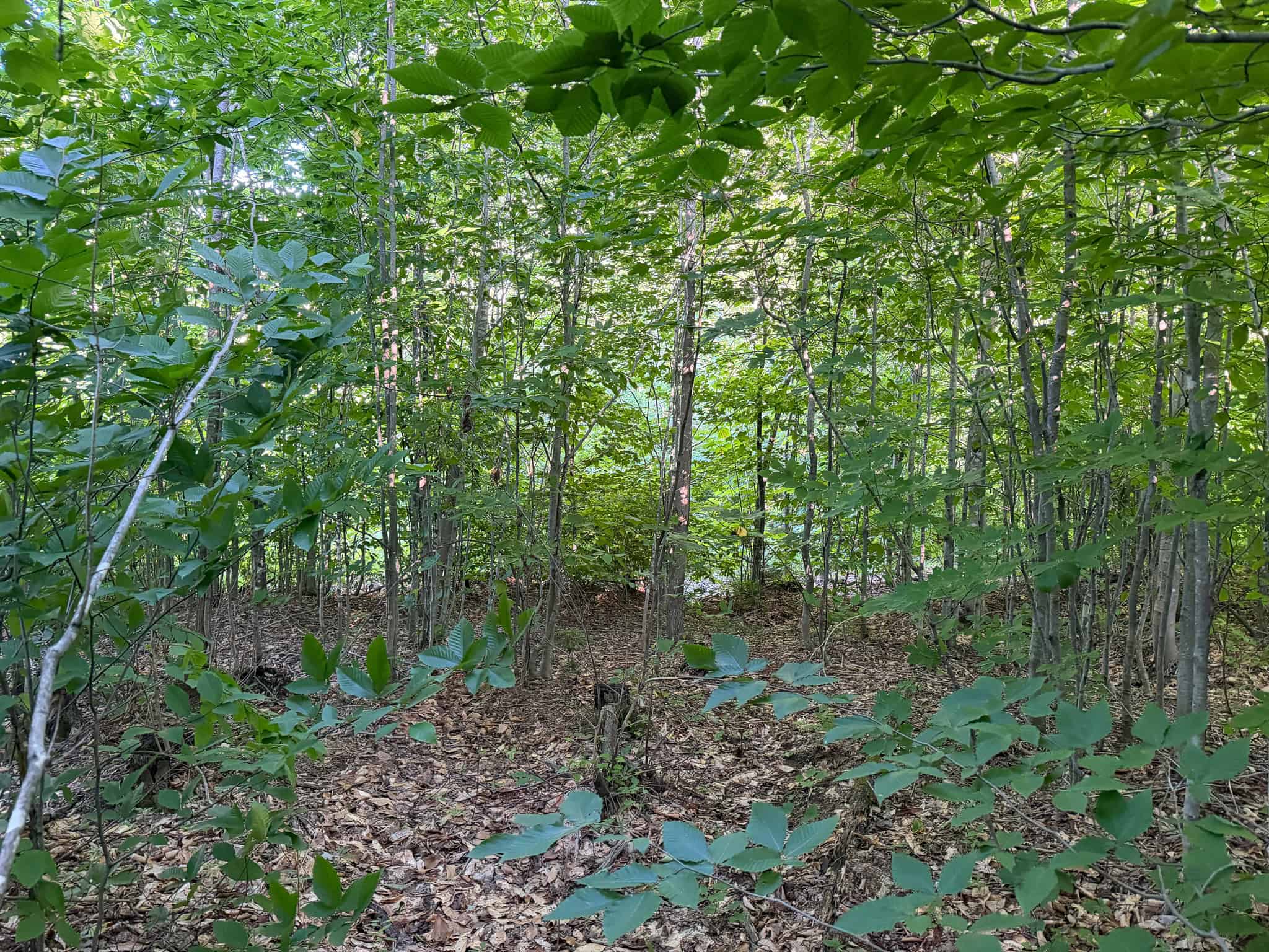 11.48 Acre Parcel with Mountain Views – Temple, Maine
