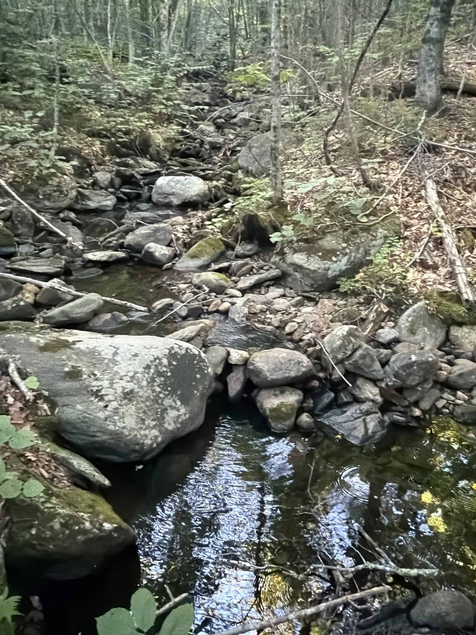 11.48 Acre Parcel with Mountain Views – Temple, Maine