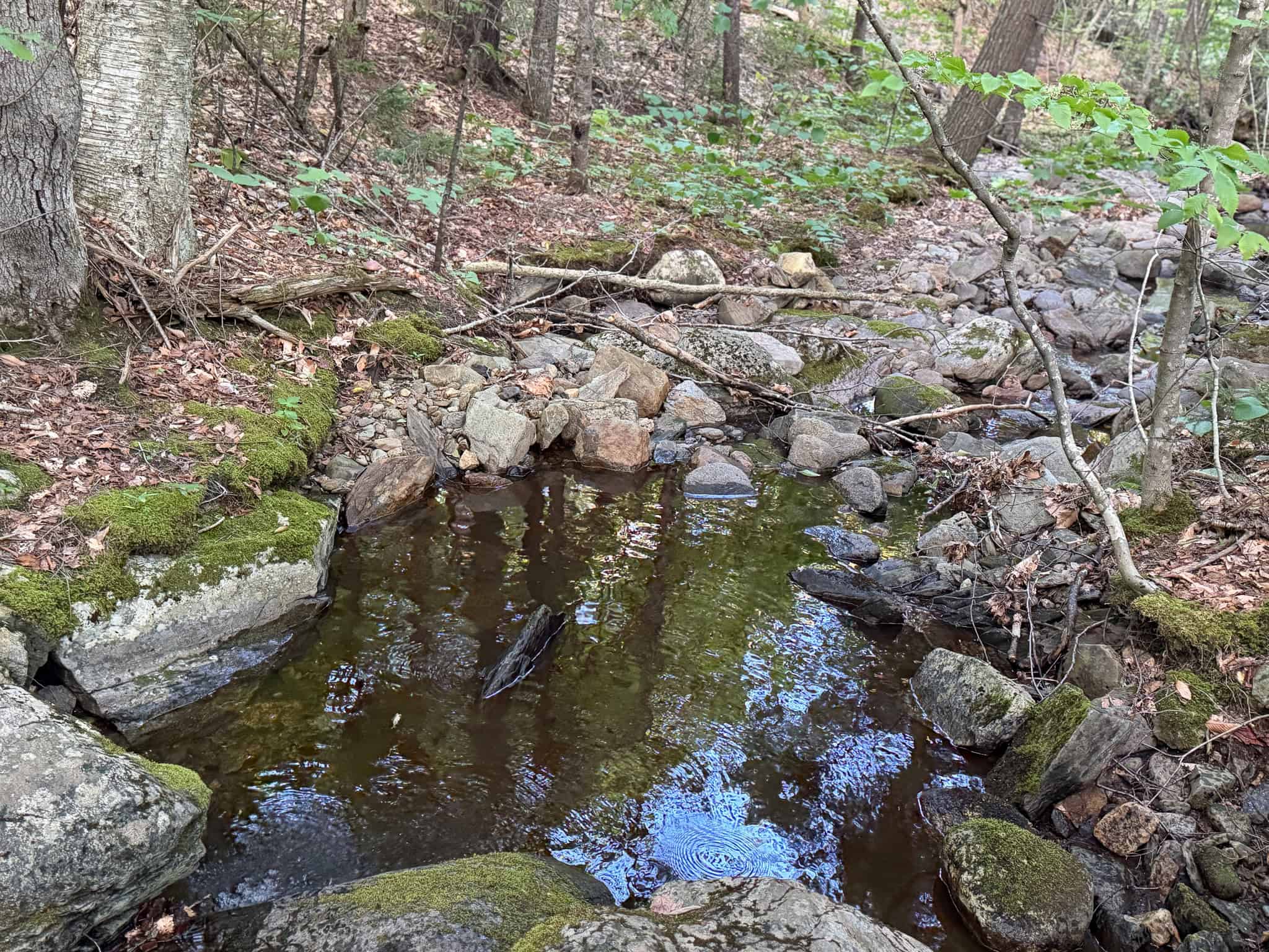 11.48 Acre Parcel with Mountain Views – Temple, Maine