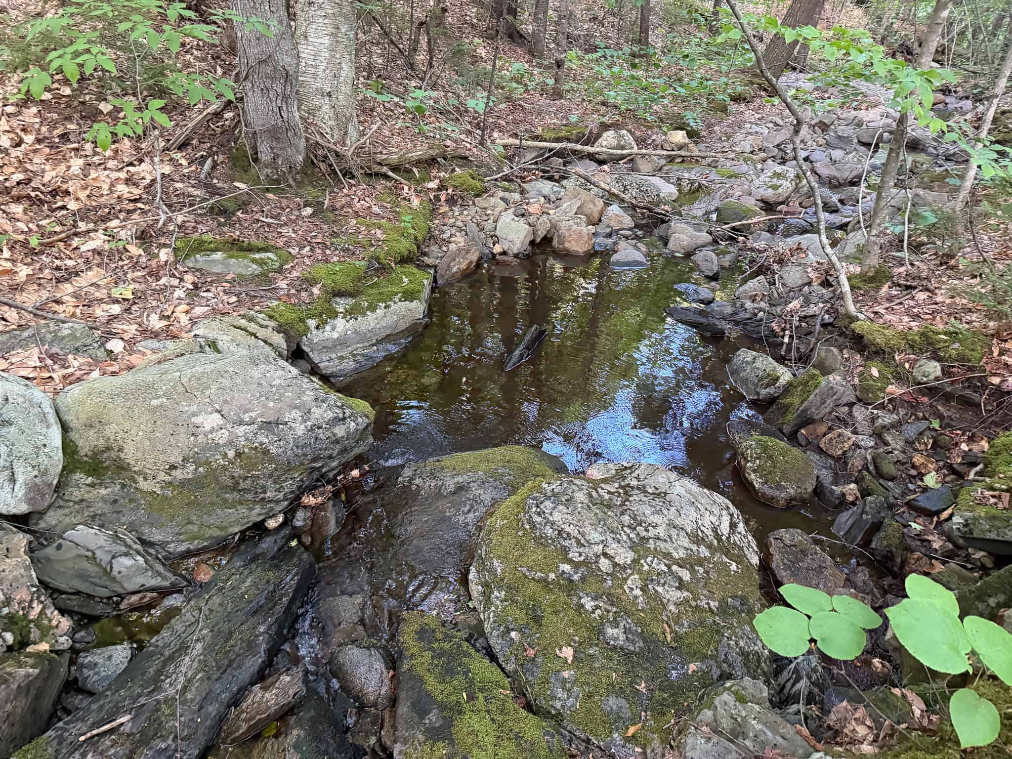 11.48 Acre Parcel with Mountain Views – Temple, Maine