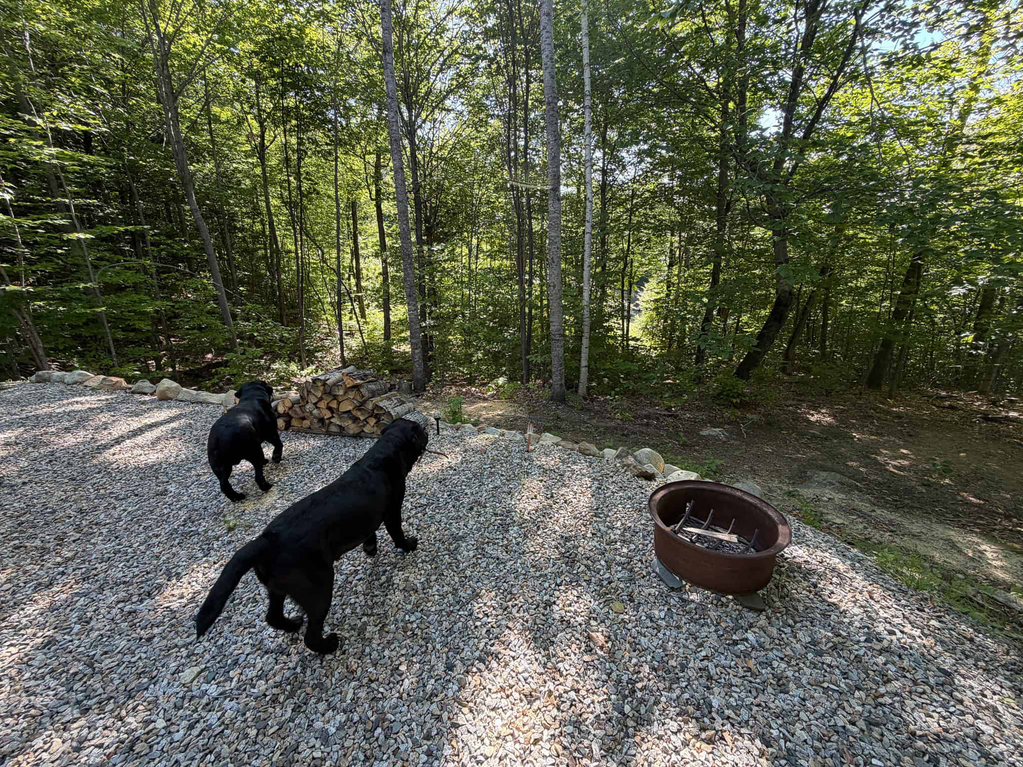 41.96 Acre Recreational Parcel – Dixfield, Maine