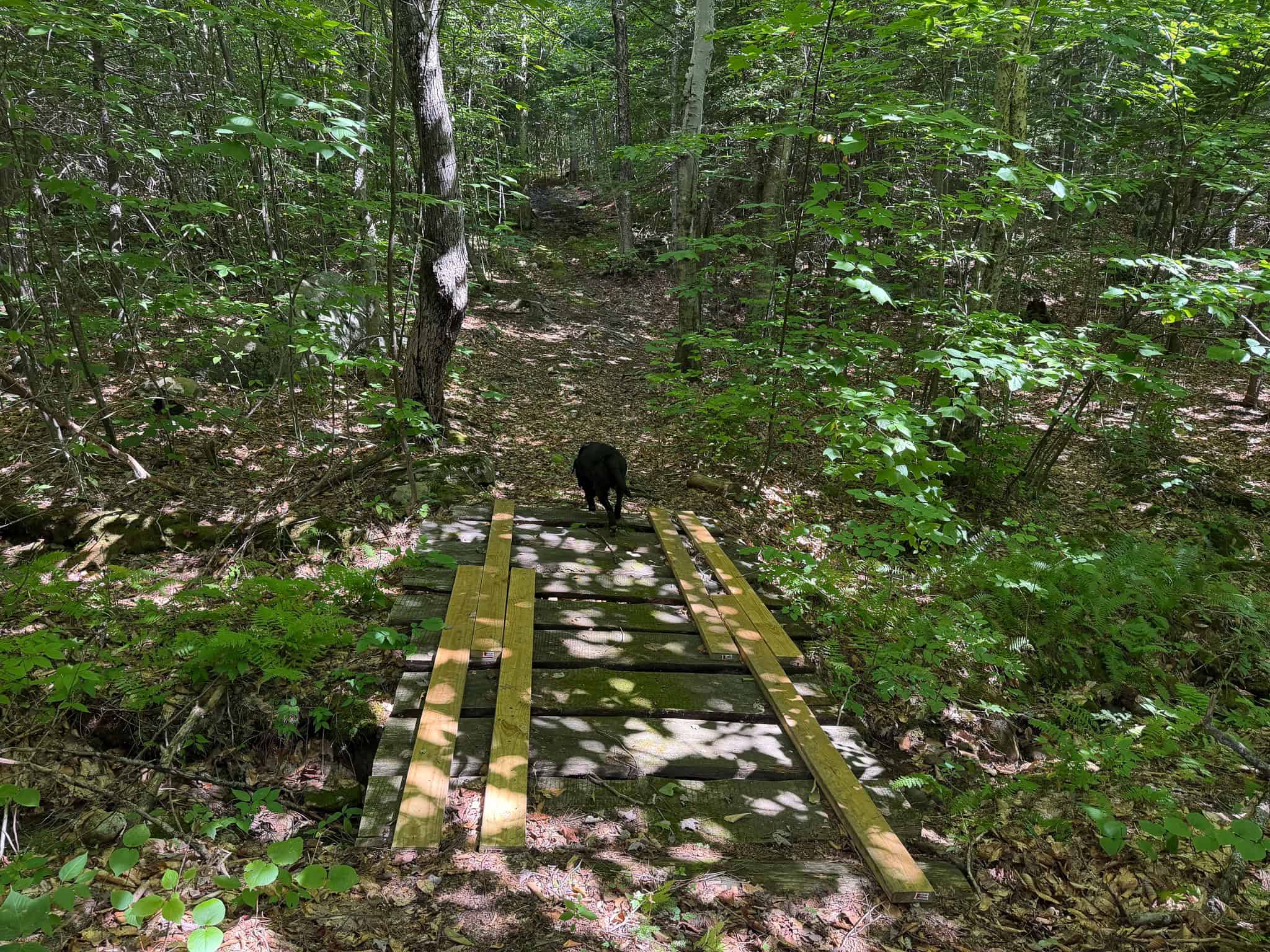41.96 Acre Recreational Parcel – Dixfield, Maine