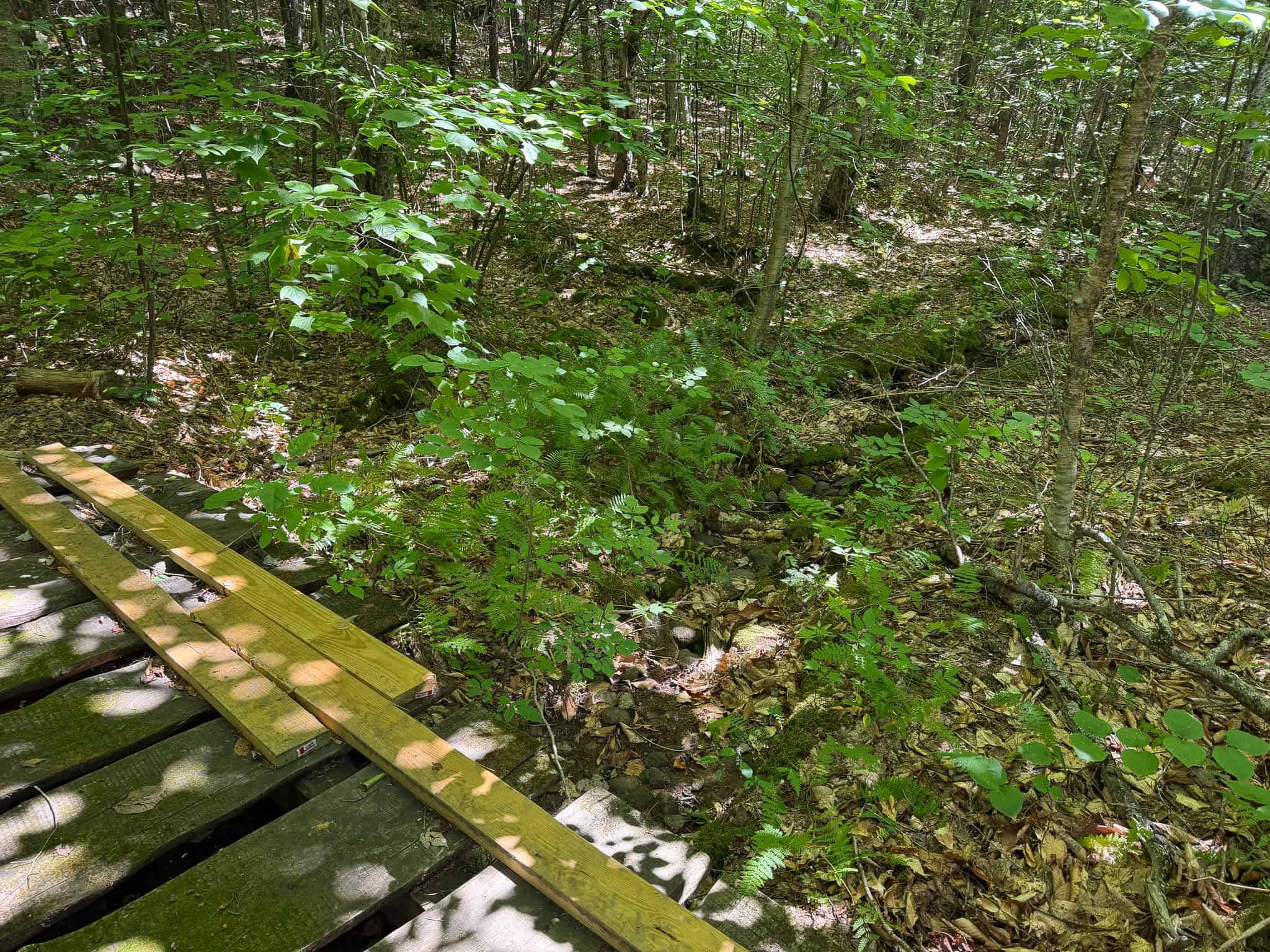 41.96 Acre Recreational Parcel – Dixfield, Maine