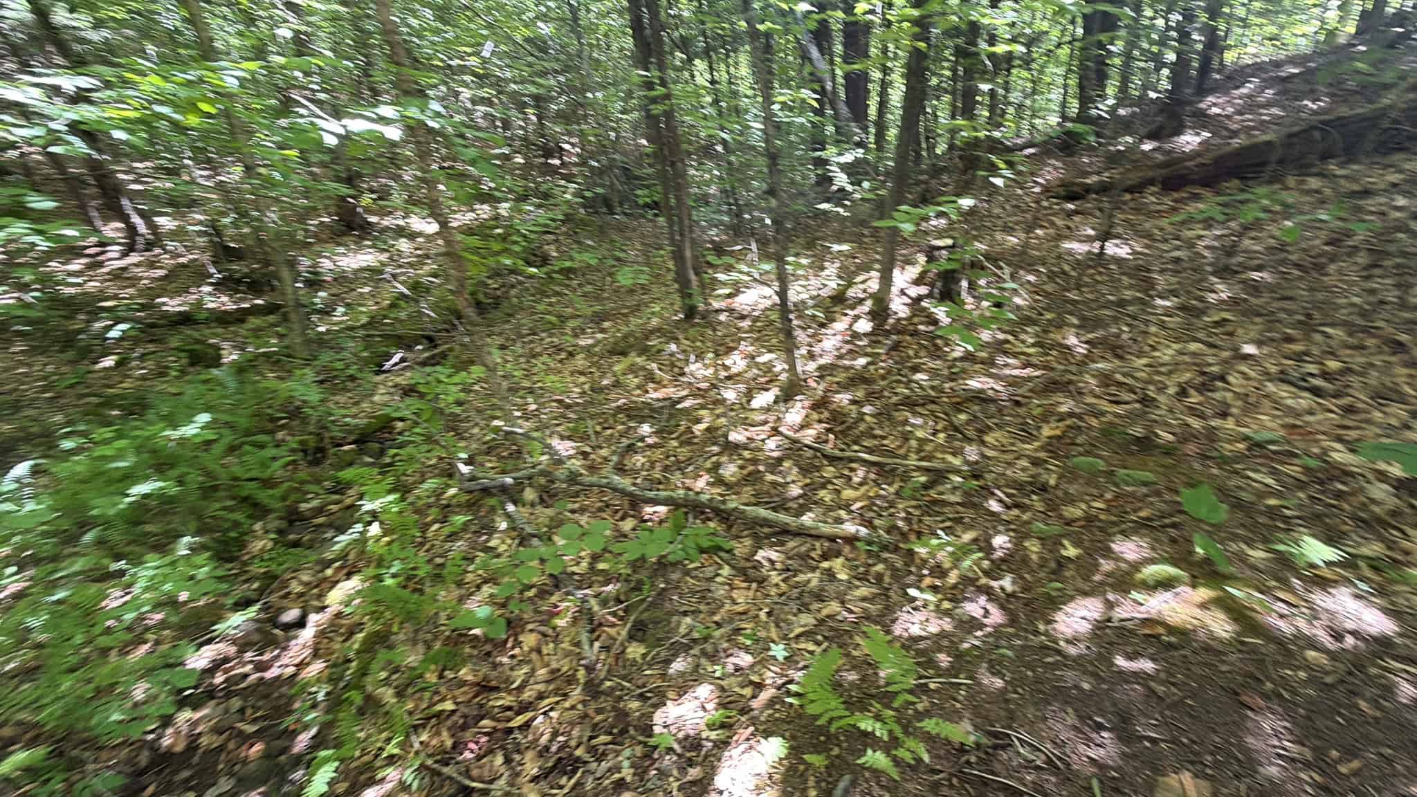 41.96 Acre Recreational Parcel – Dixfield, Maine