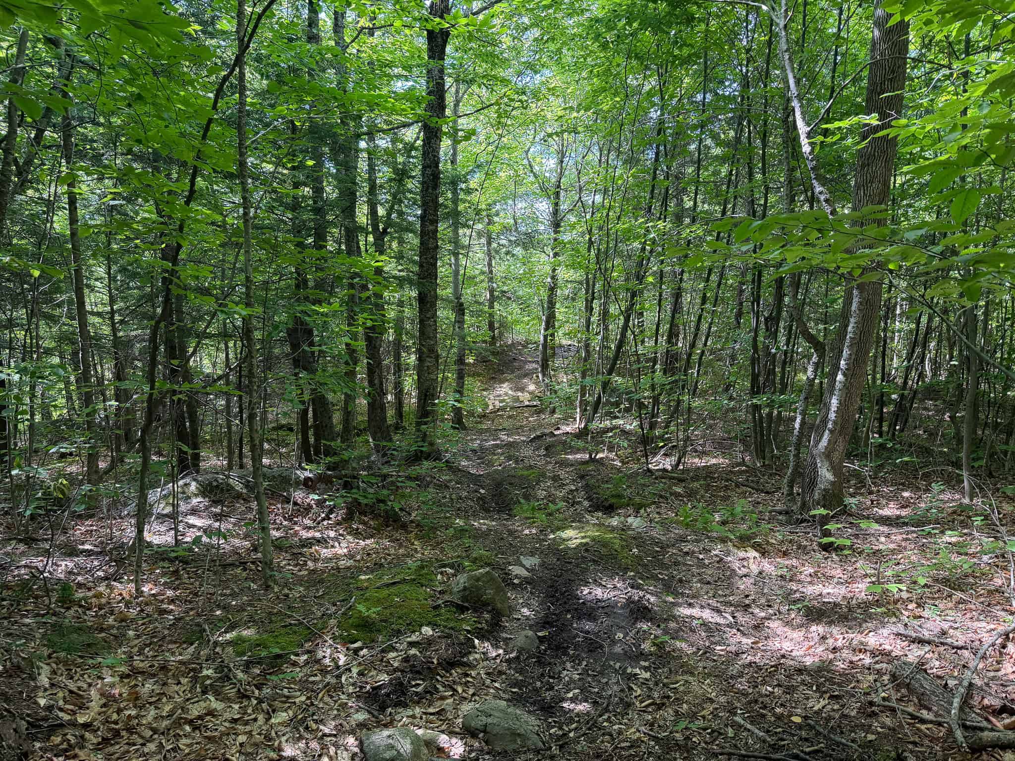41.96 Acre Recreational Parcel – Dixfield, Maine