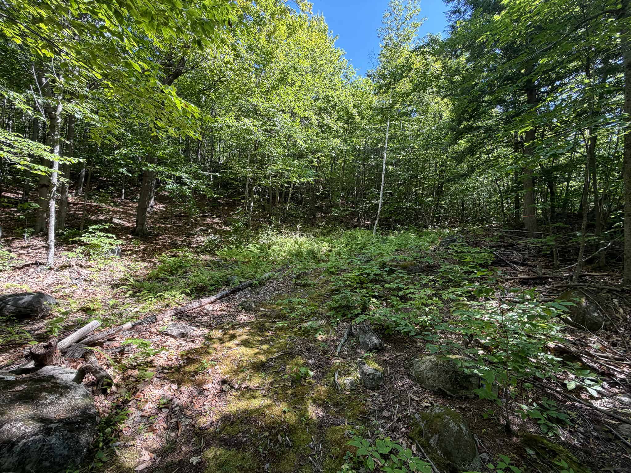 41.96 Acre Recreational Parcel – Dixfield, Maine