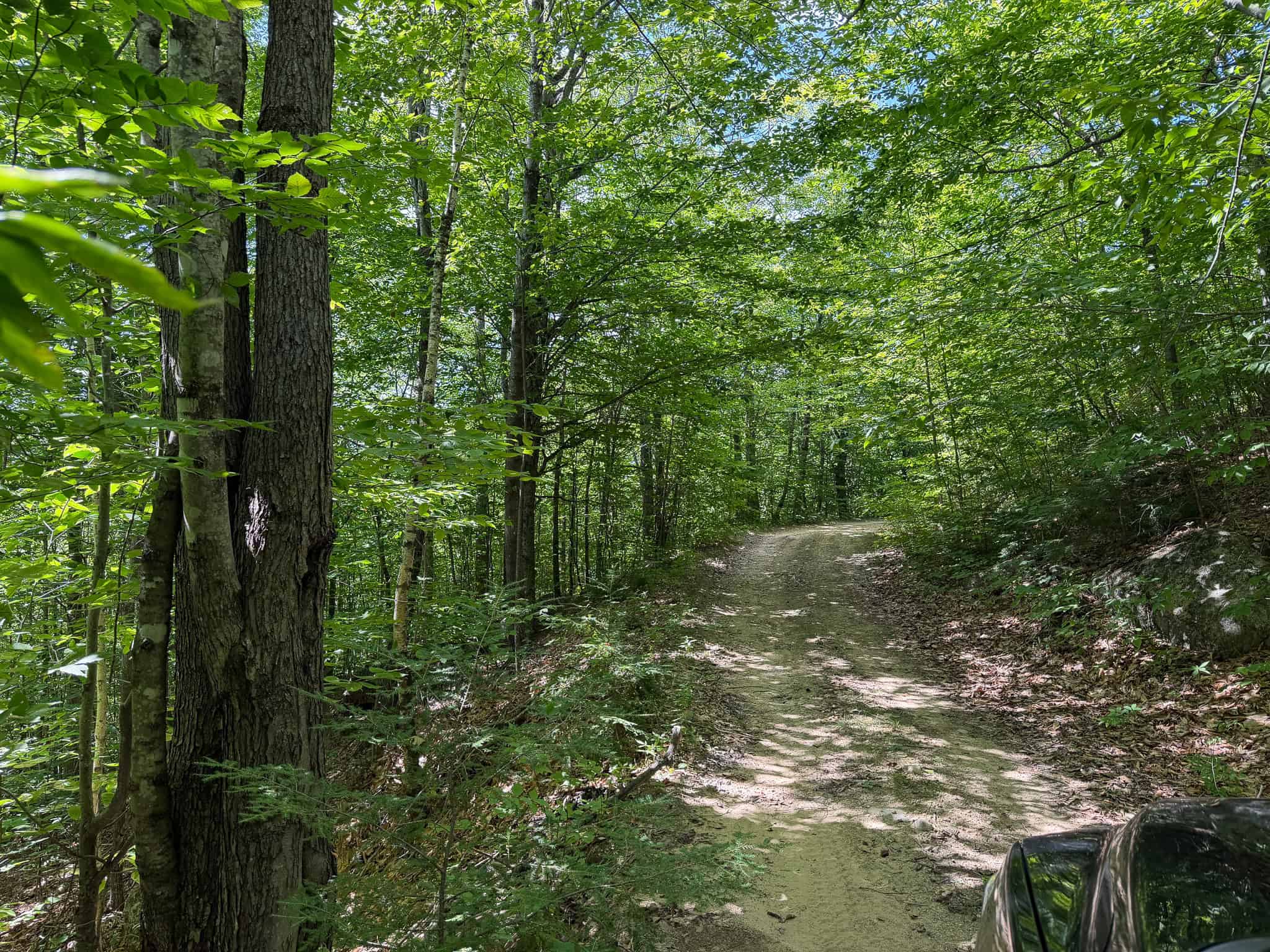 41.96 Acre Recreational Parcel – Dixfield, Maine