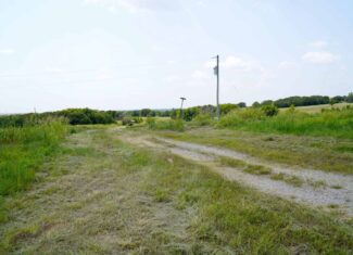 Tr 3 – Rolling 30 Ac+/- Homesite Land Auction Okfuskee County, OK