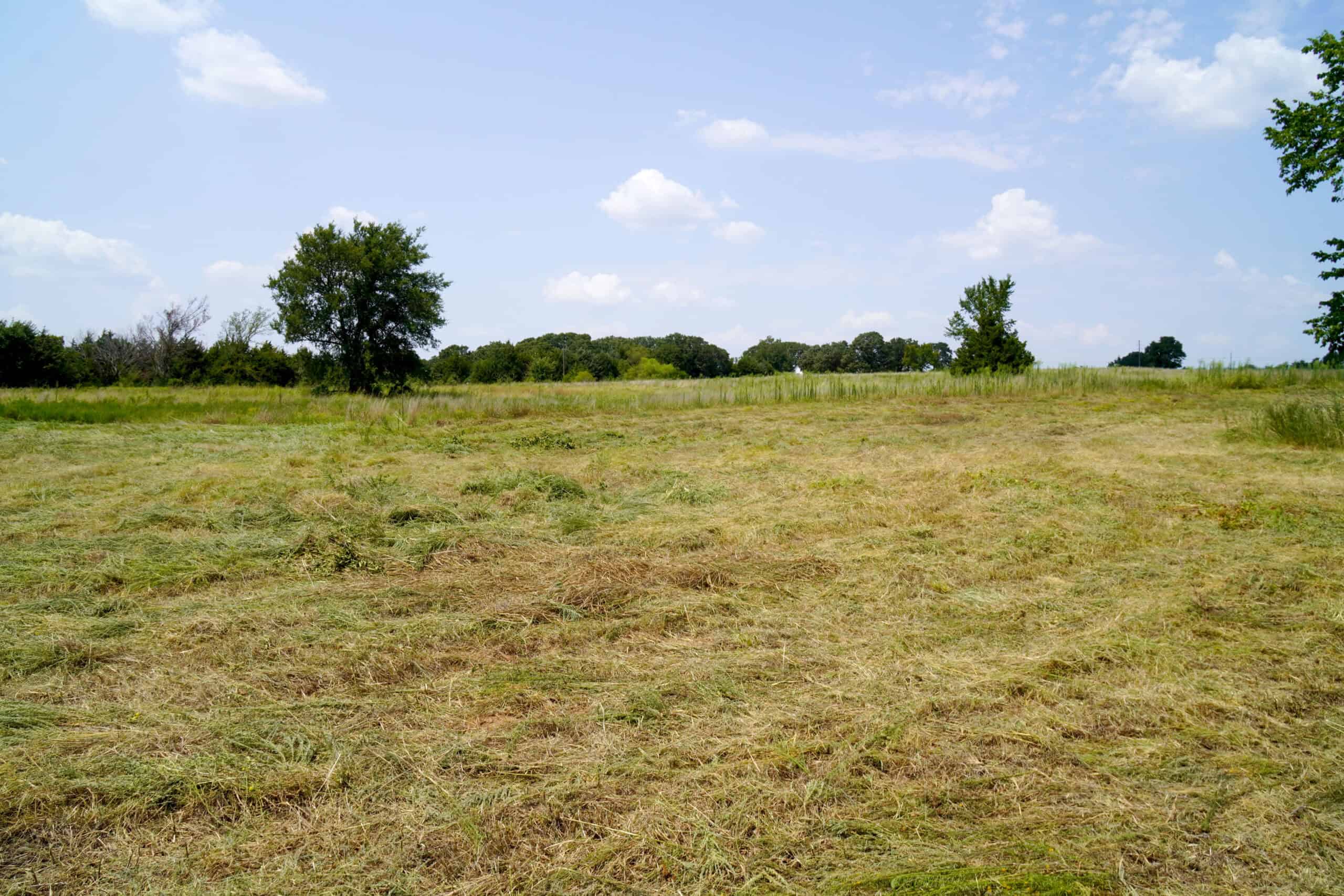 Tr 3 – Rolling 30 Ac+/- Homesite Land Auction Okfuskee County, OK