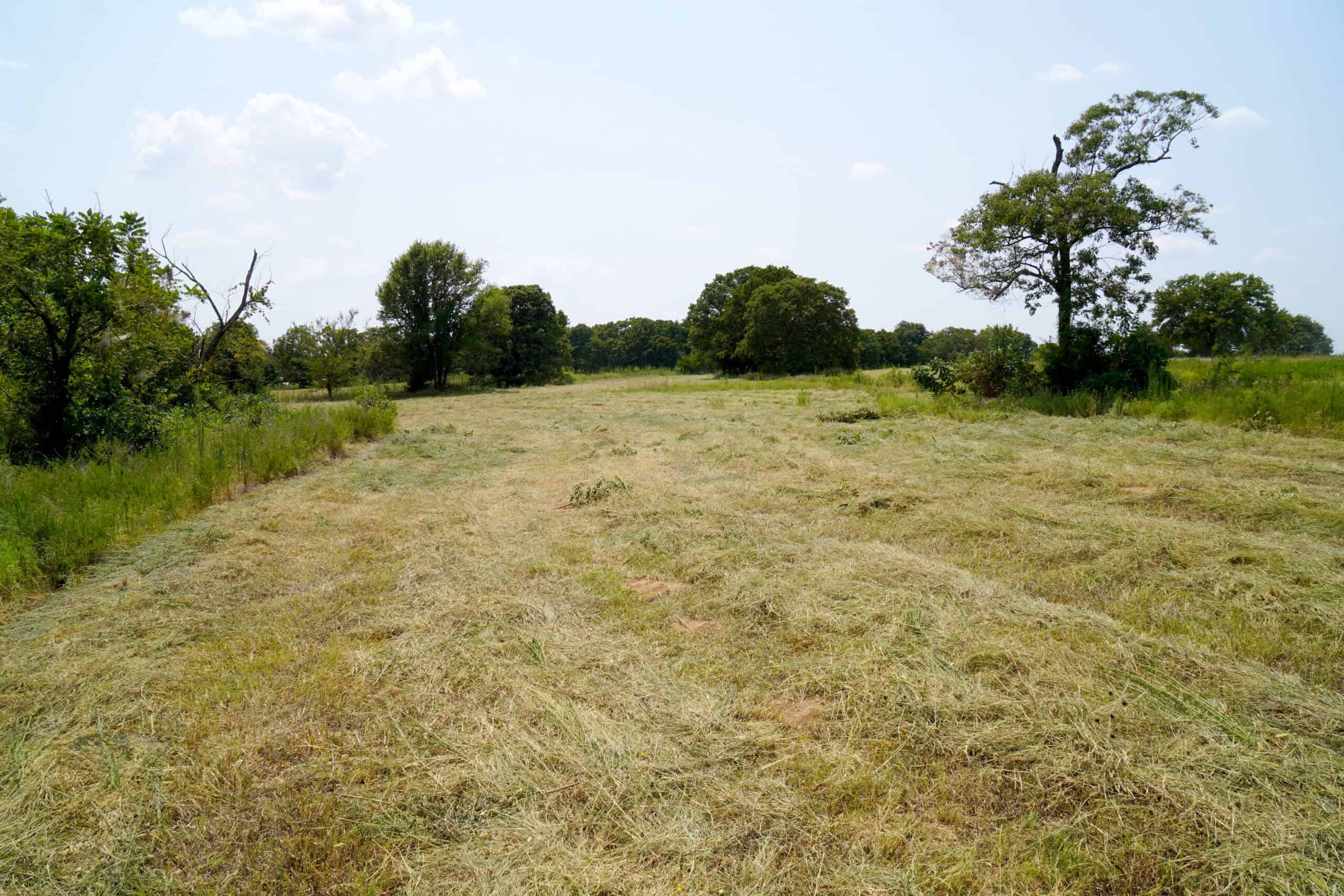 Tr 3 – Rolling 30 Ac+/- Homesite Land Auction Okfuskee County, OK
