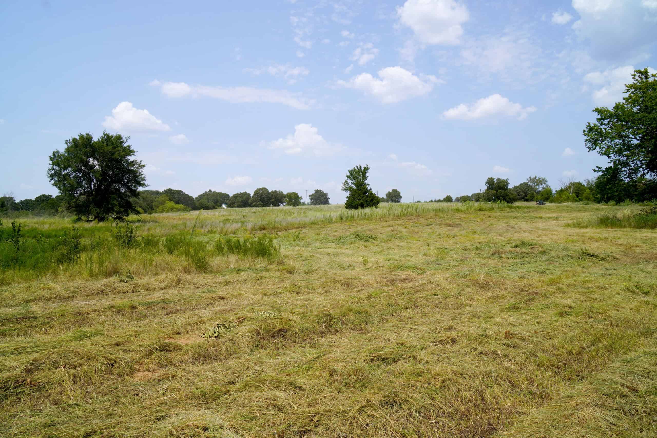 Tr 3 – Rolling 30 Ac+/- Homesite Land Auction Okfuskee County, OK
