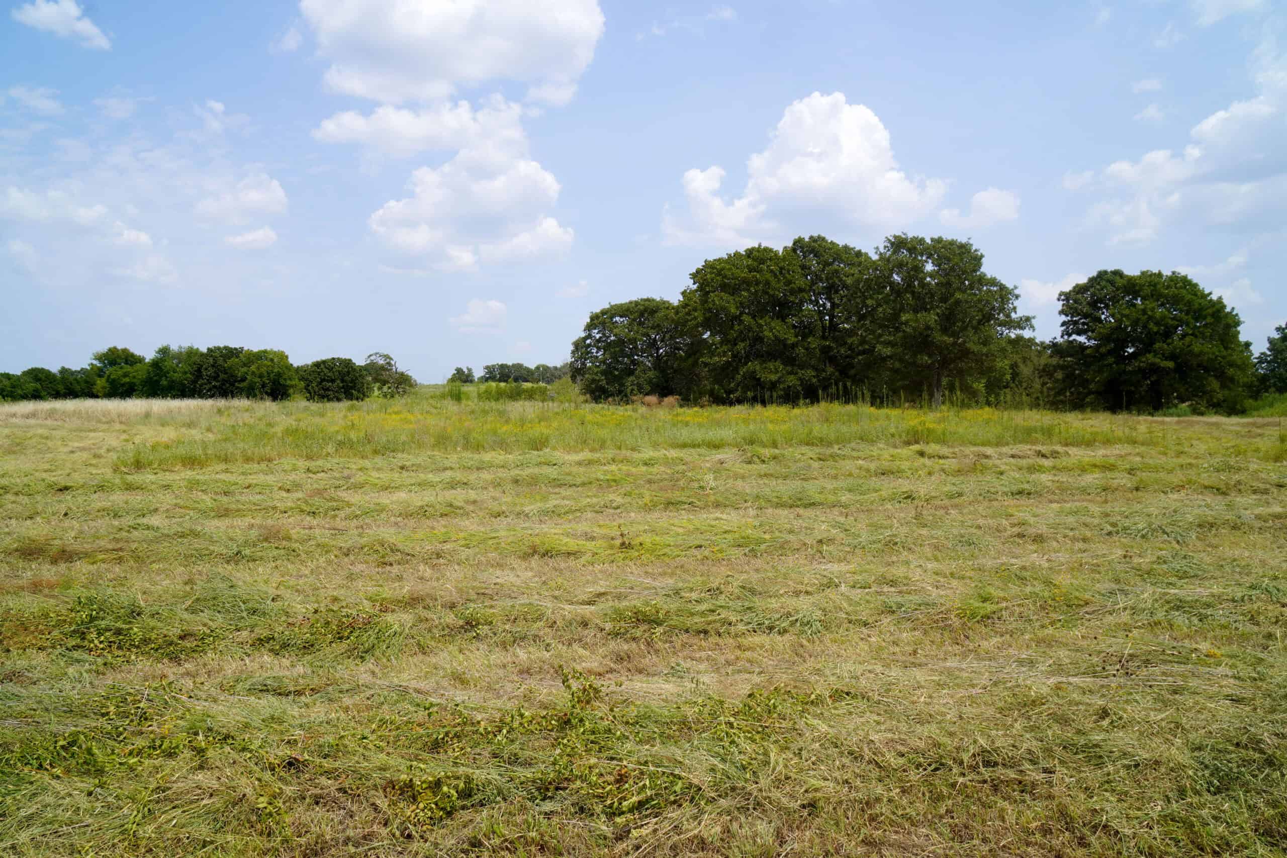 Tr 3 – Rolling 30 Ac+/- Homesite Land Auction Okfuskee County, OK