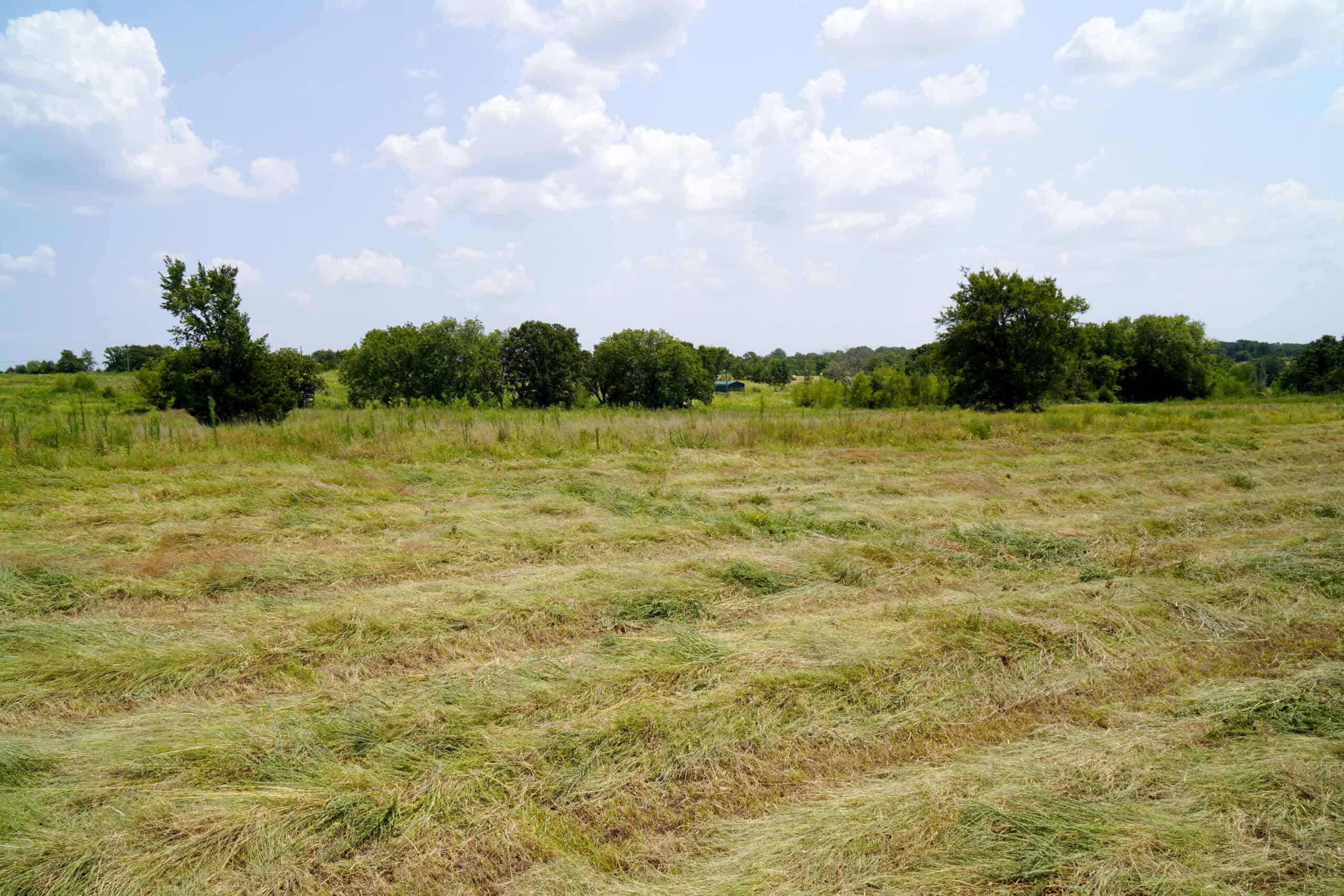 Tr 3 – Rolling 30 Ac+/- Homesite Land Auction Okfuskee County, OK