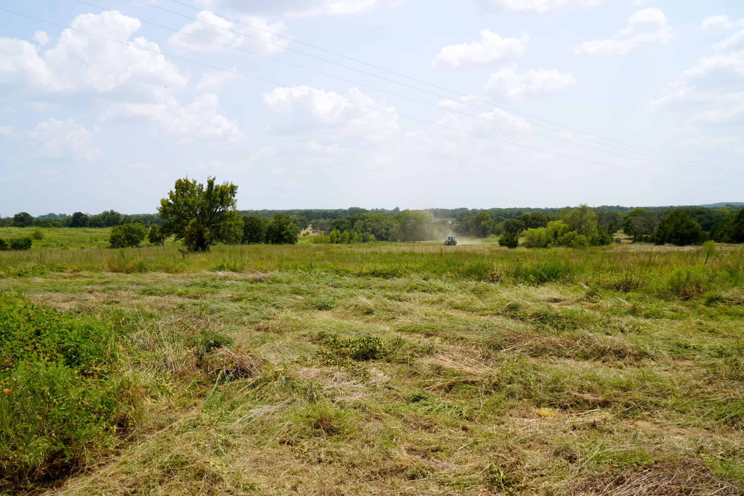 Tr 3 – Rolling 30 Ac+/- Homesite Land Auction Okfuskee County, OK