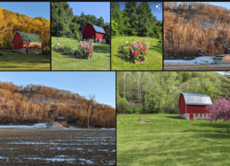 Mississippi River Valley Legacy Retreat | 42 Acres of Seclusion, Hunting & Driftless Beauty Near Genoa, Wisconsin