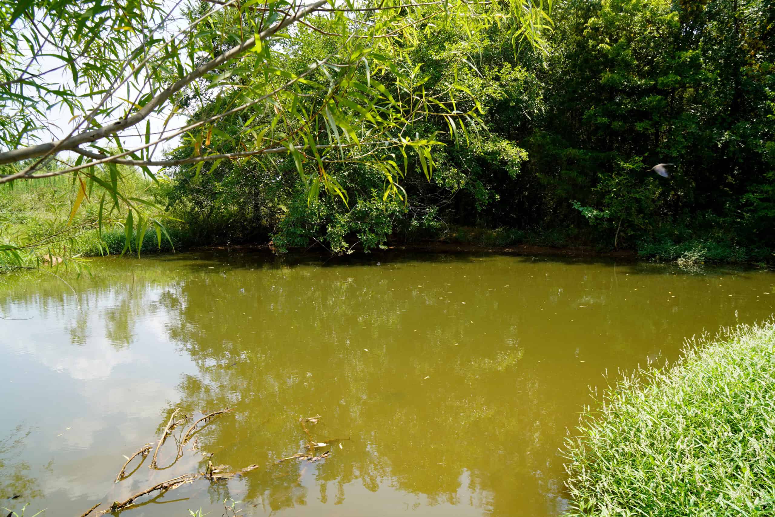 Tr 3 – Rolling 30 Ac+/- Homesite Land Auction Okfuskee County, OK