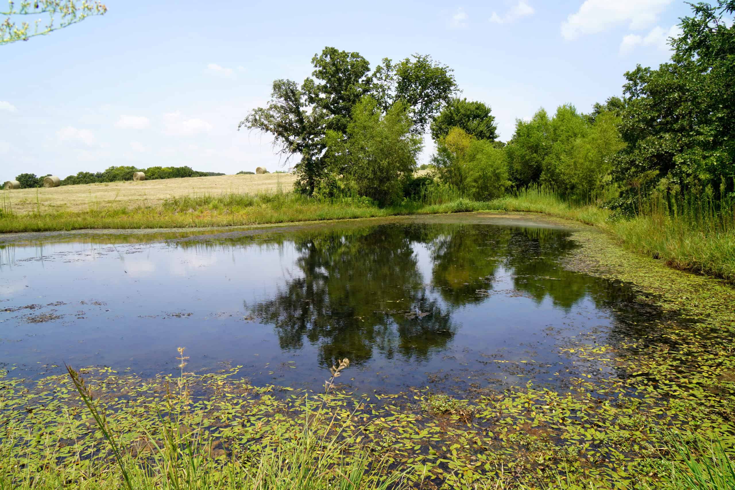 Rural Okfuskee County, OK Real Estate Auction Home & 40 Ac+/-