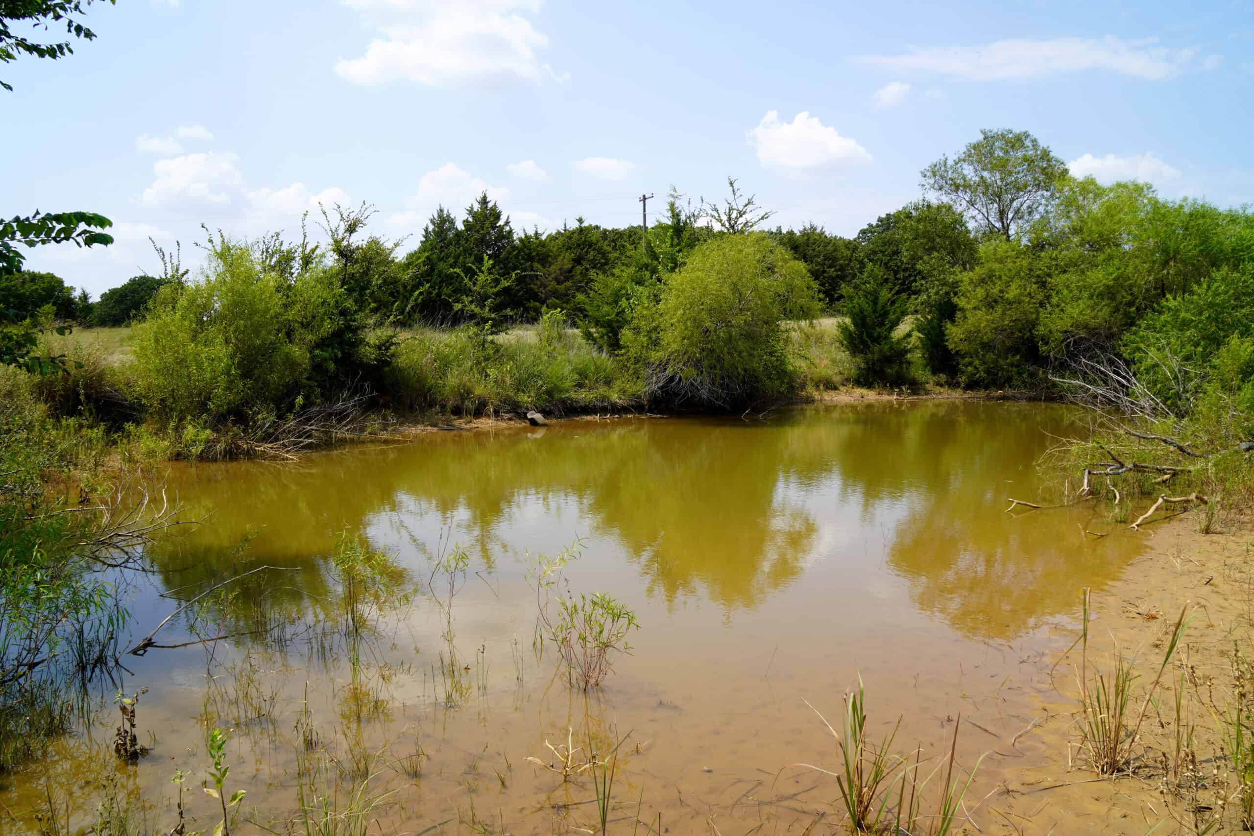 Tr 3 – Rolling 30 Ac+/- Homesite Land Auction Okfuskee County, OK