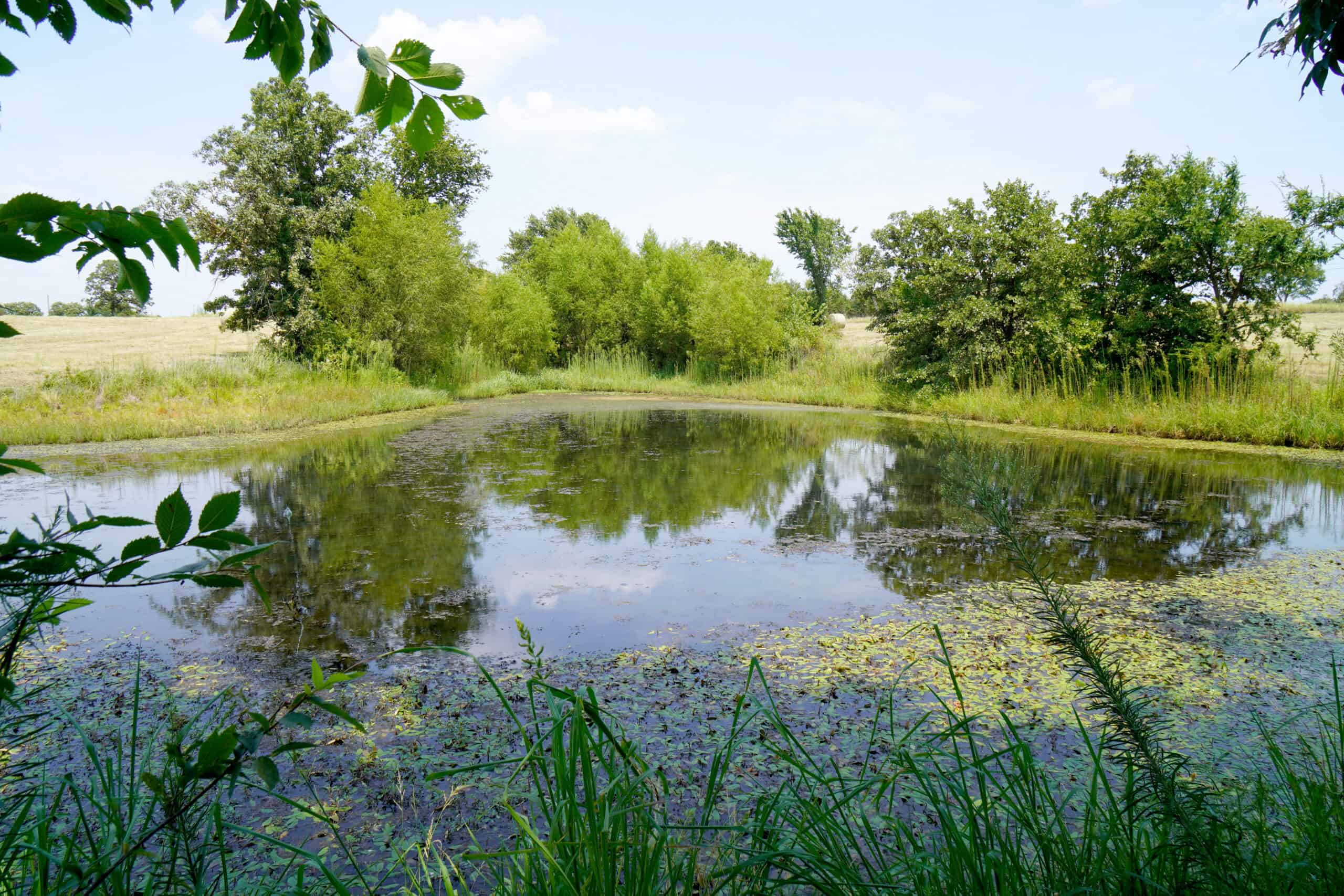 Rural Okfuskee County, OK Real Estate Auction Home & 40 Ac+/-