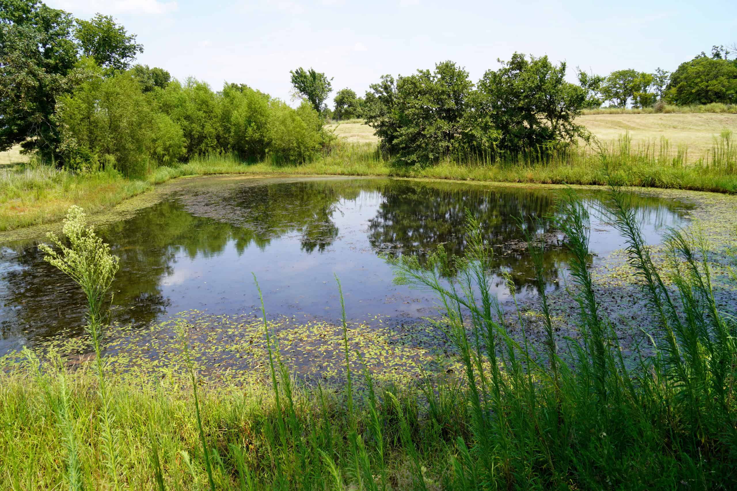 Rural Okfuskee County, OK Real Estate Auction Home & 40 Ac+/-