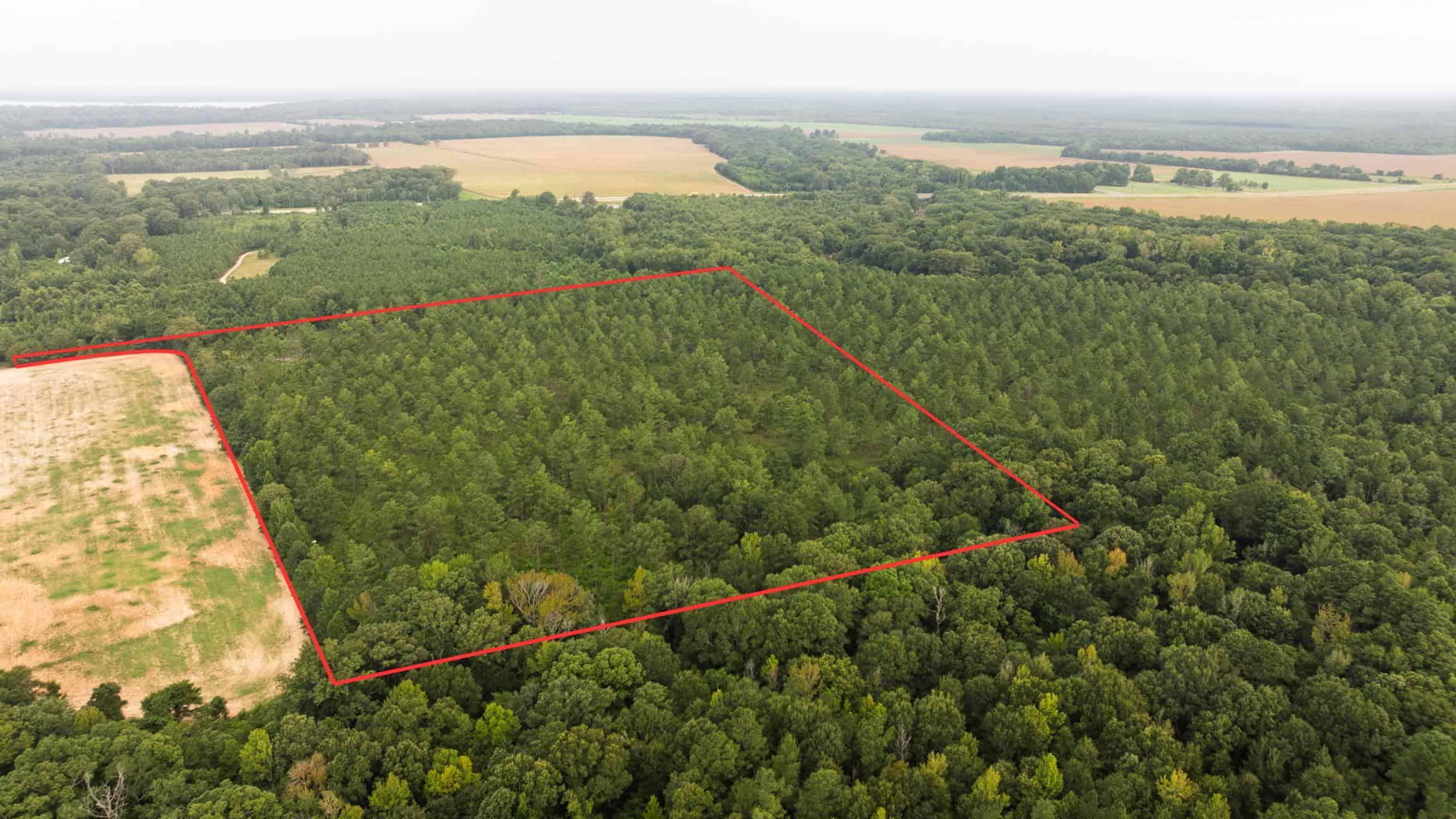 Affordable Morehouse Parish Land for Sale