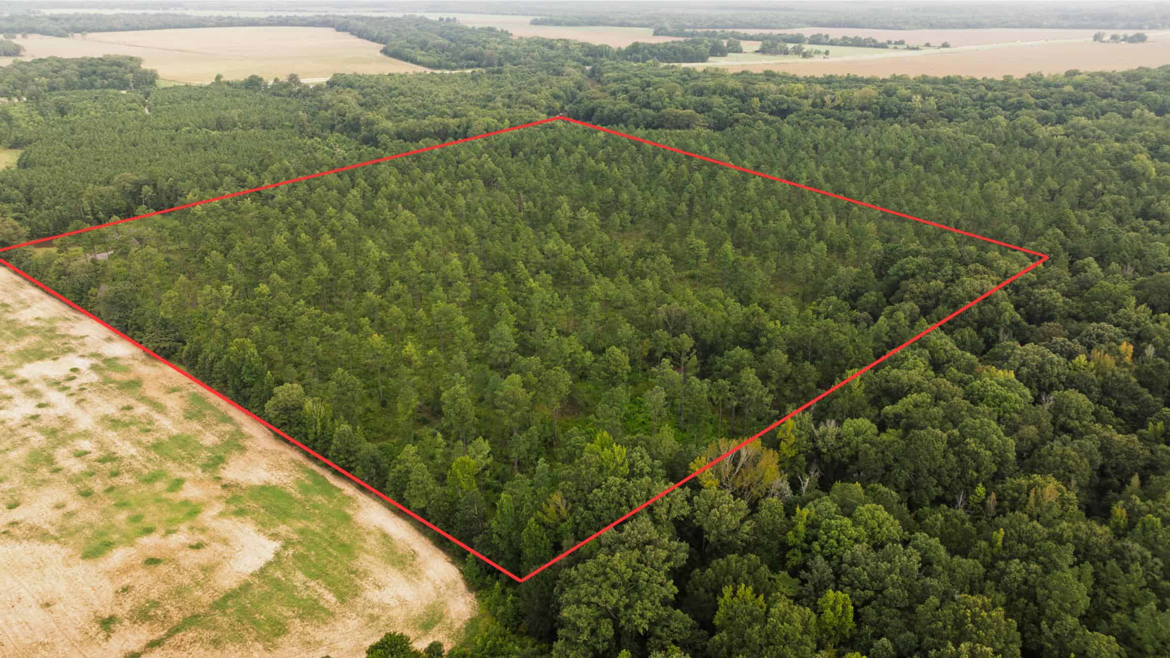 Affordable Morehouse Parish Land for Sale