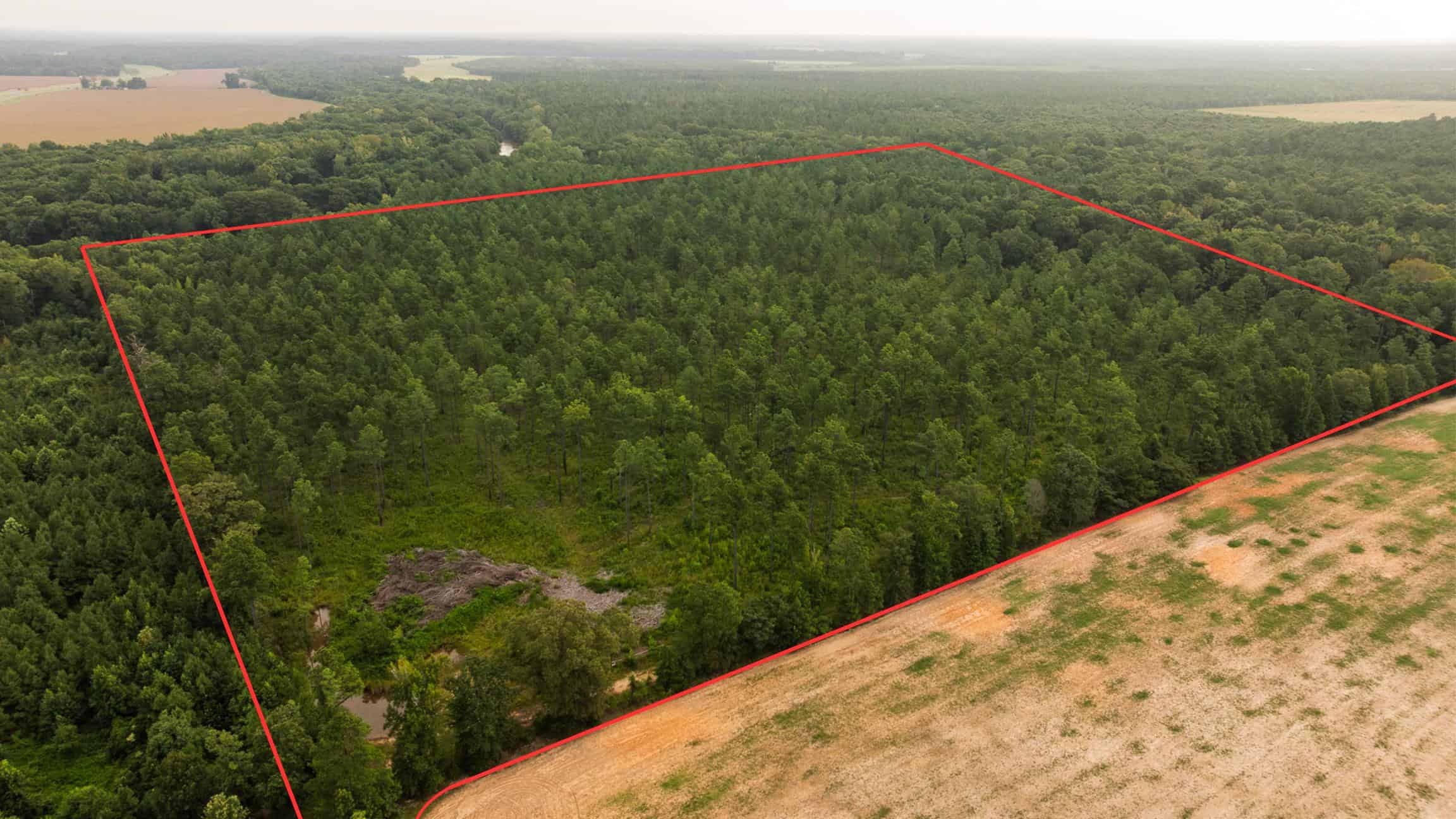 Affordable Morehouse Parish Land for Sale