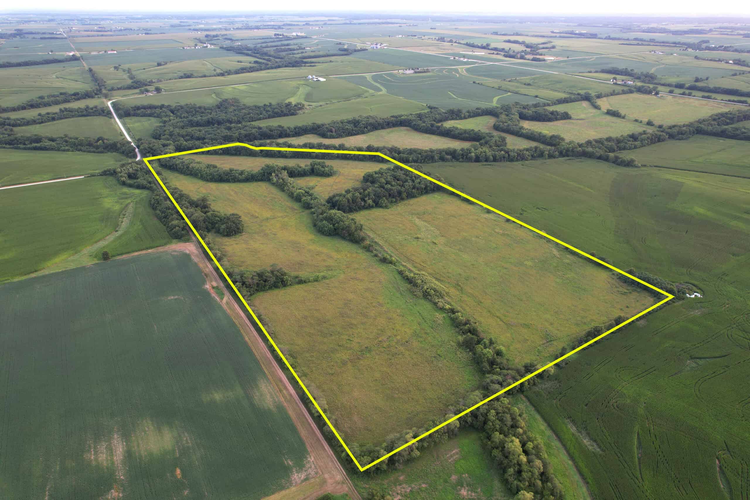 Wapello County 73.12+/- Acres