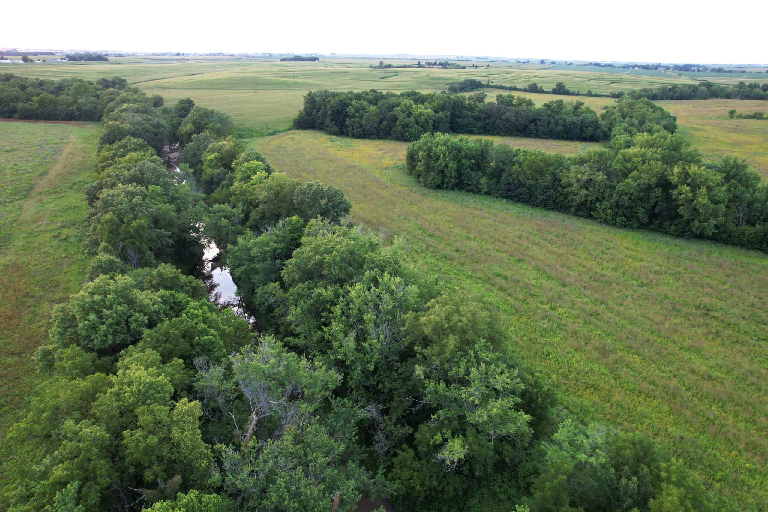 Wapello County 73.12+/- Acres
