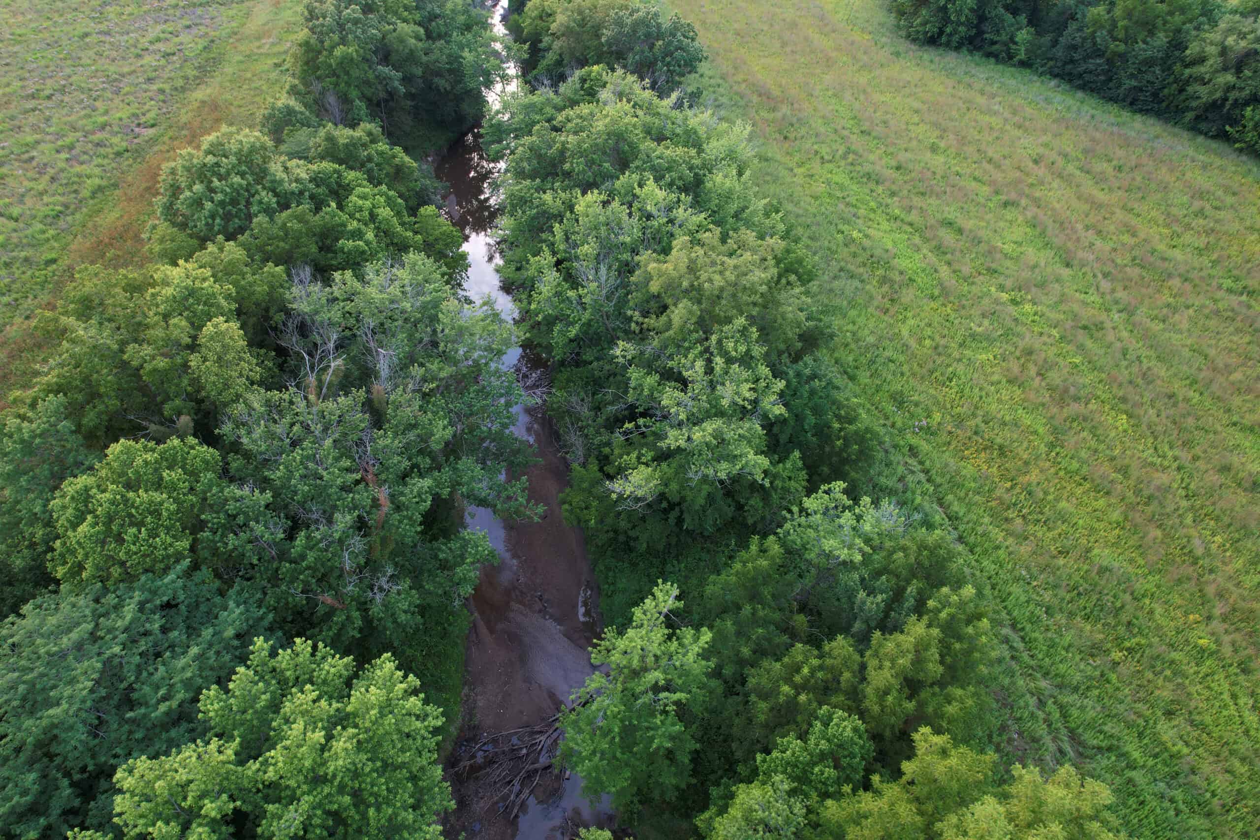 Wapello County 73.12+/- Acres