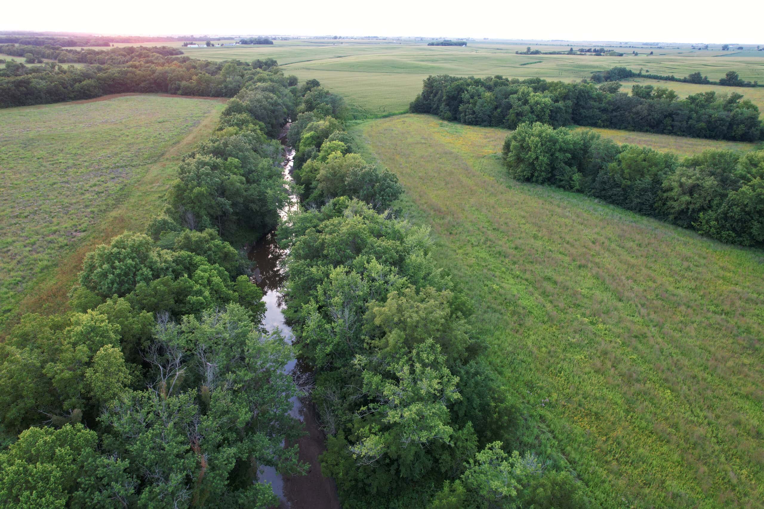 Wapello County 73.12+/- Acres