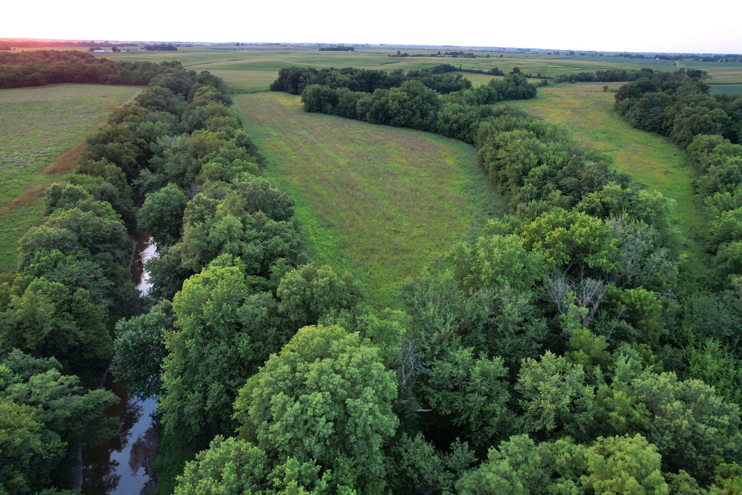 Wapello County 73.12+/- Acres