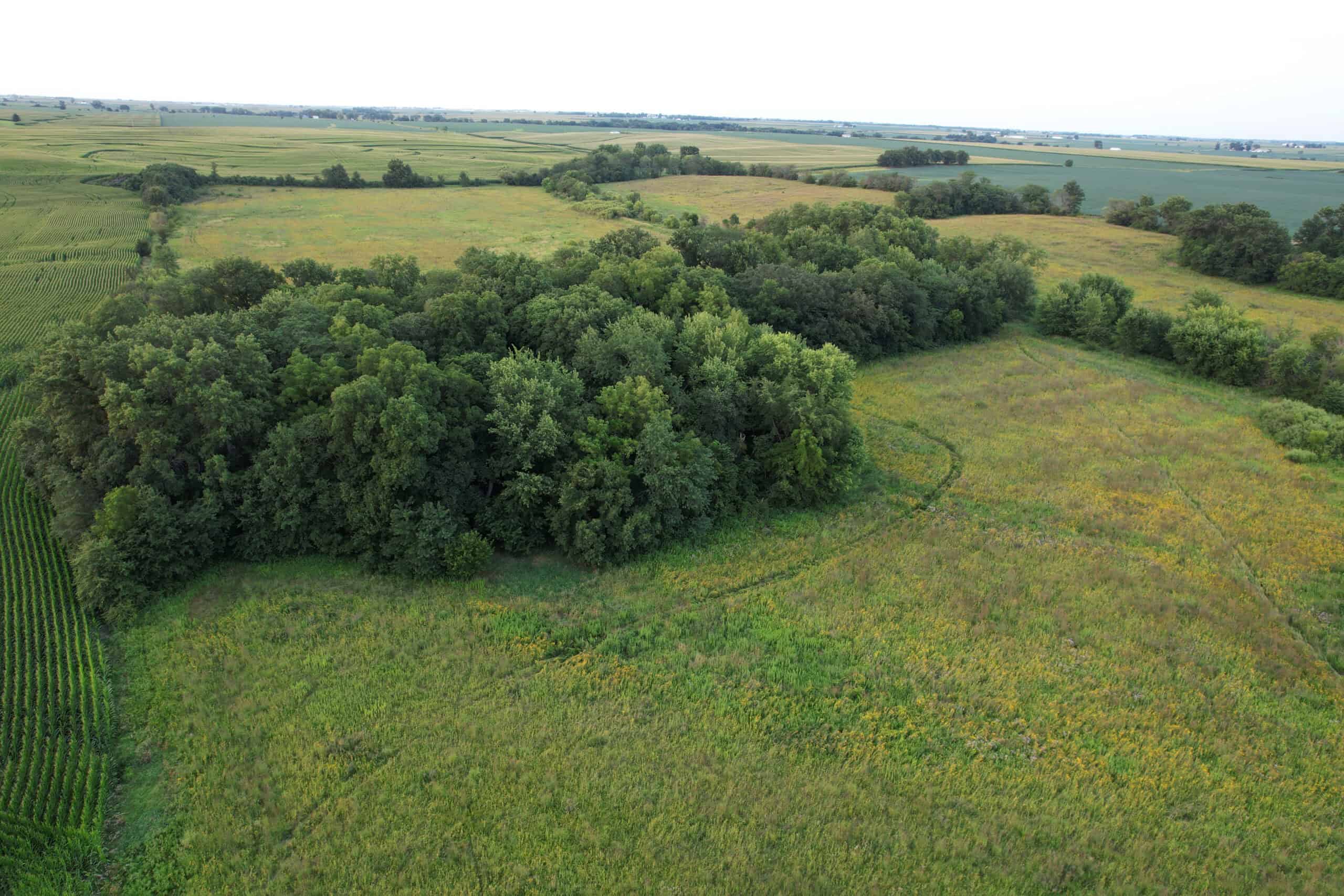 Wapello County 73.12+/- Acres