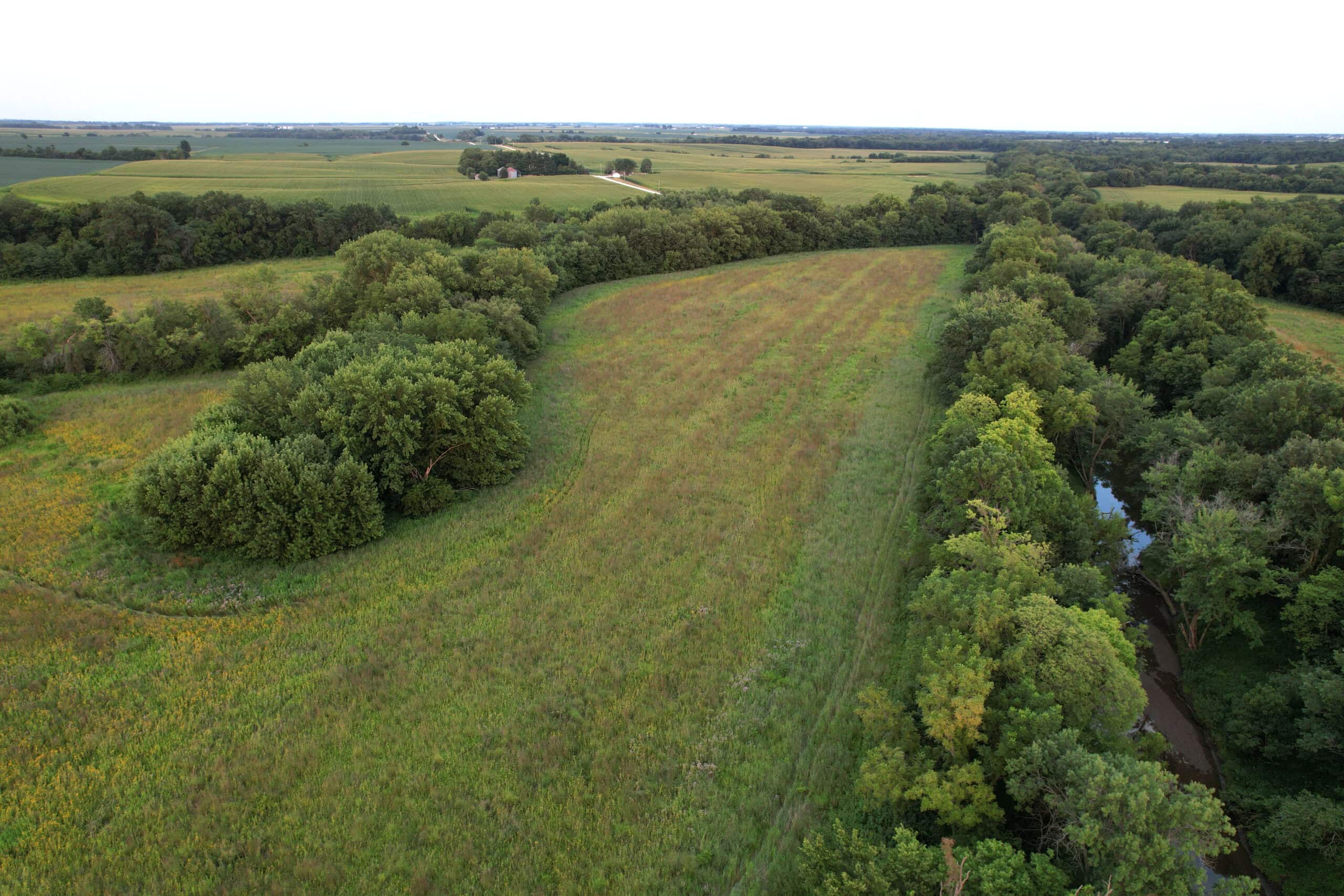 Wapello County 73.12+/- Acres
