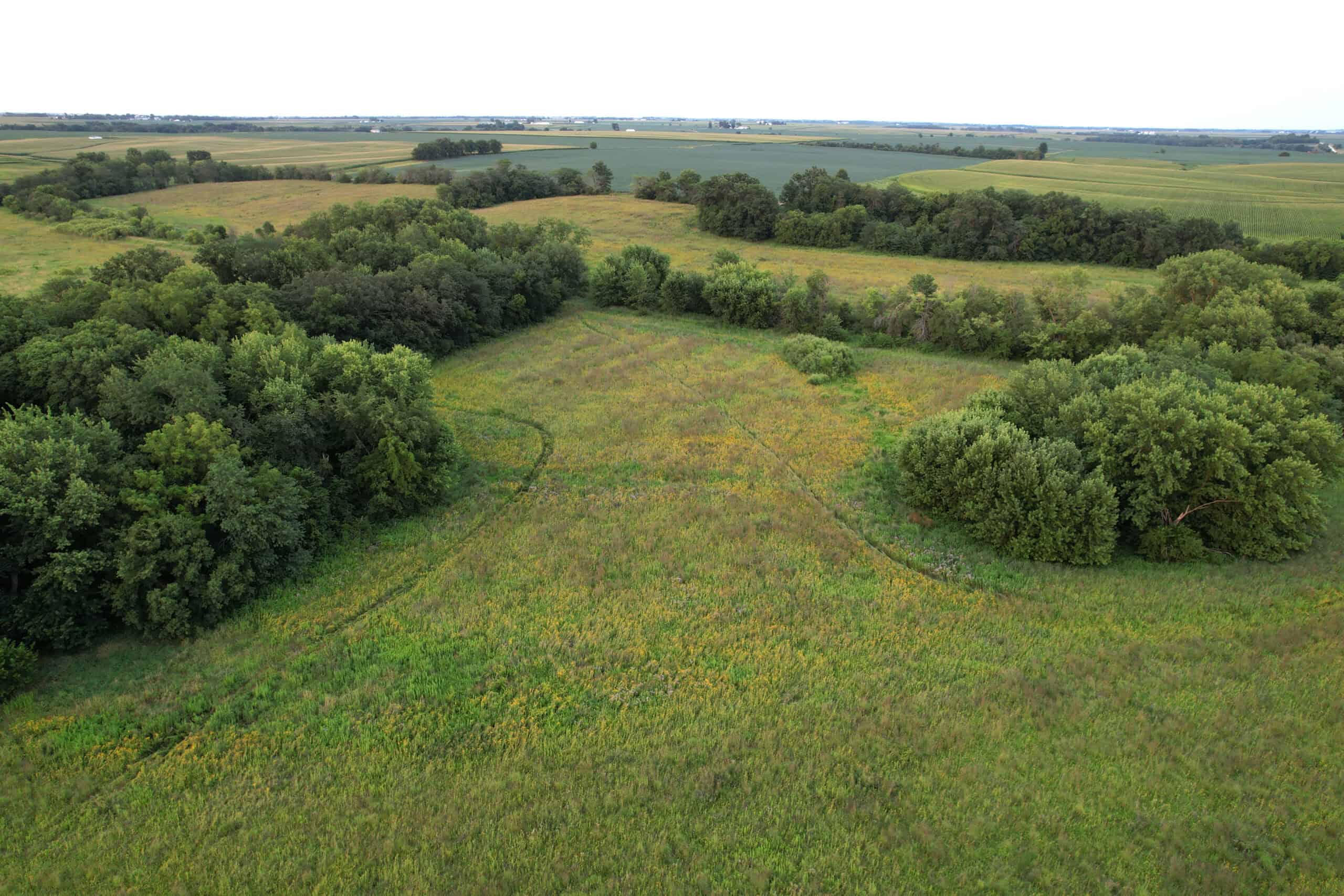 Wapello County 73.12+/- Acres